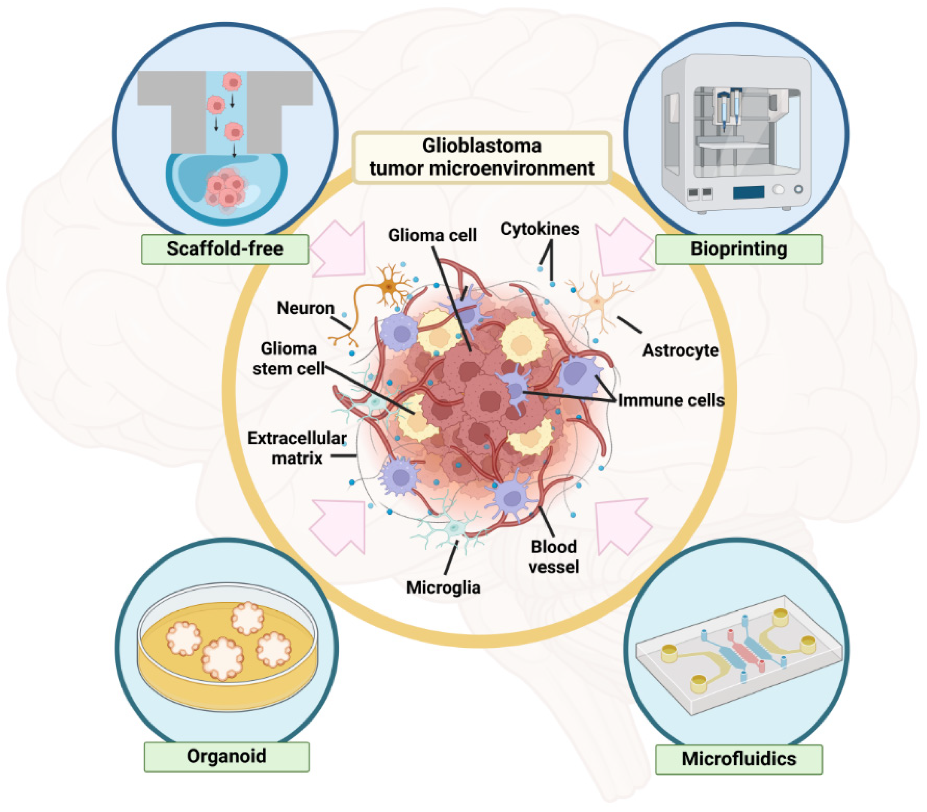 Biosensors 14 00539 g001