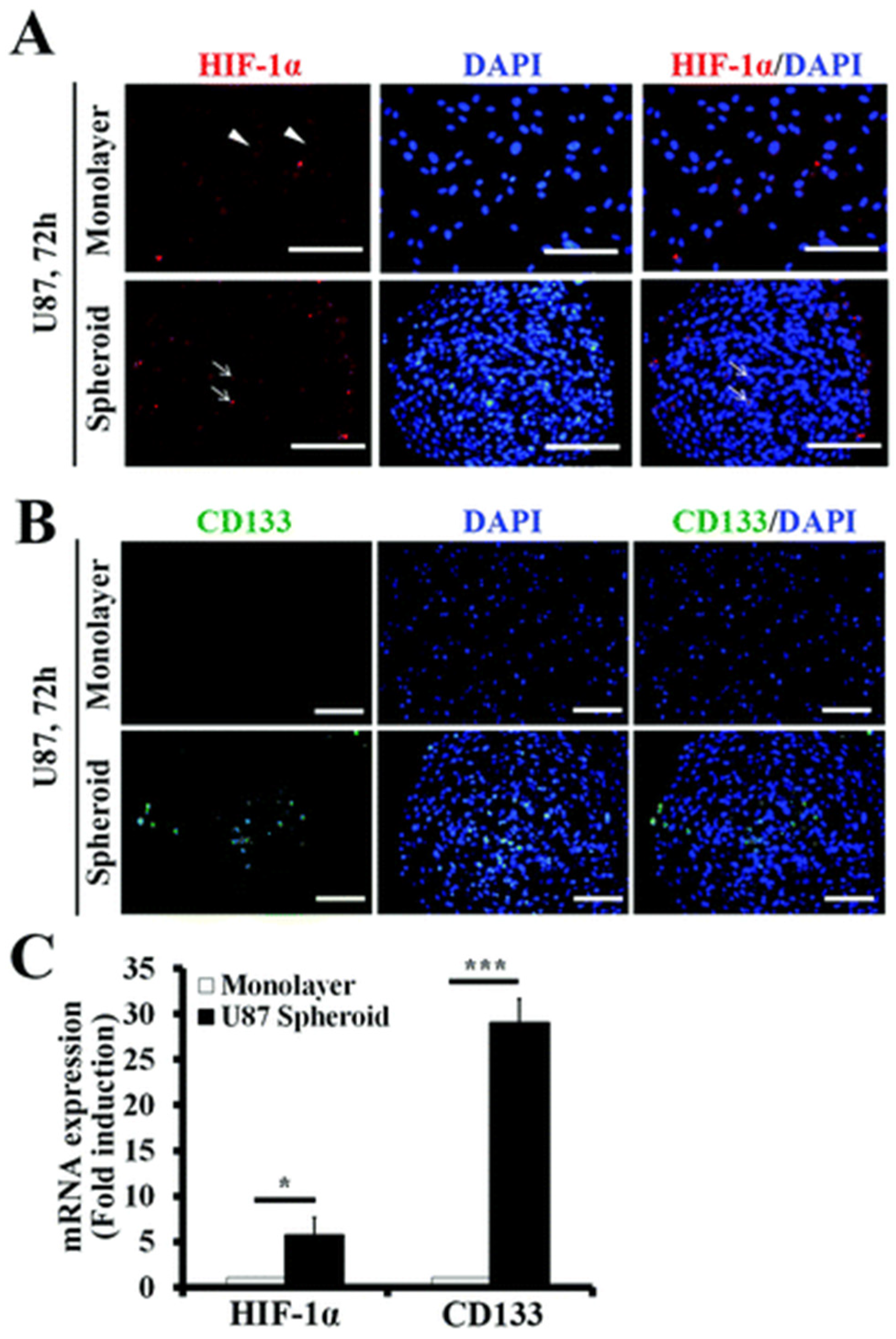 Biosensors 14 00539 g004