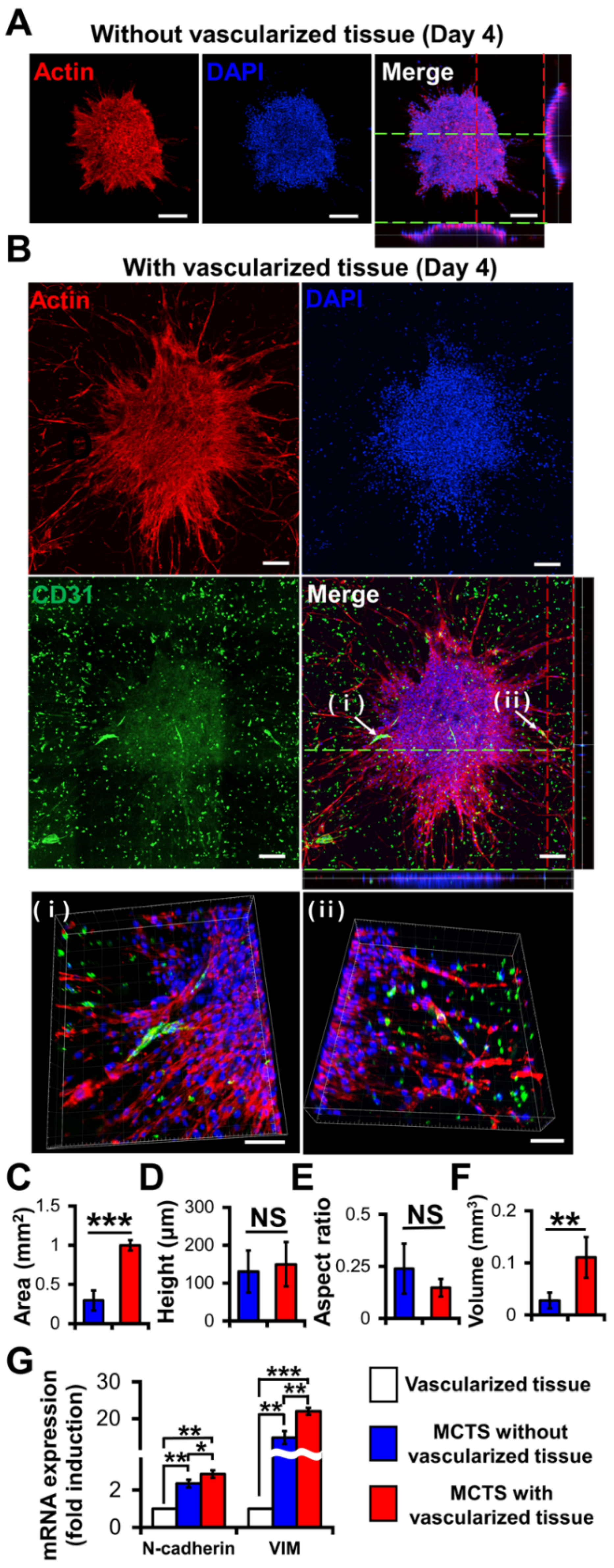 Biosensors 14 00539 g007