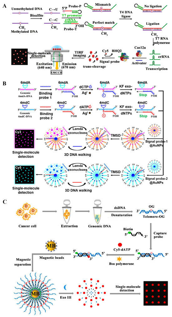 Recent Advance in Single-Molecule Fluorescent Biosensors for