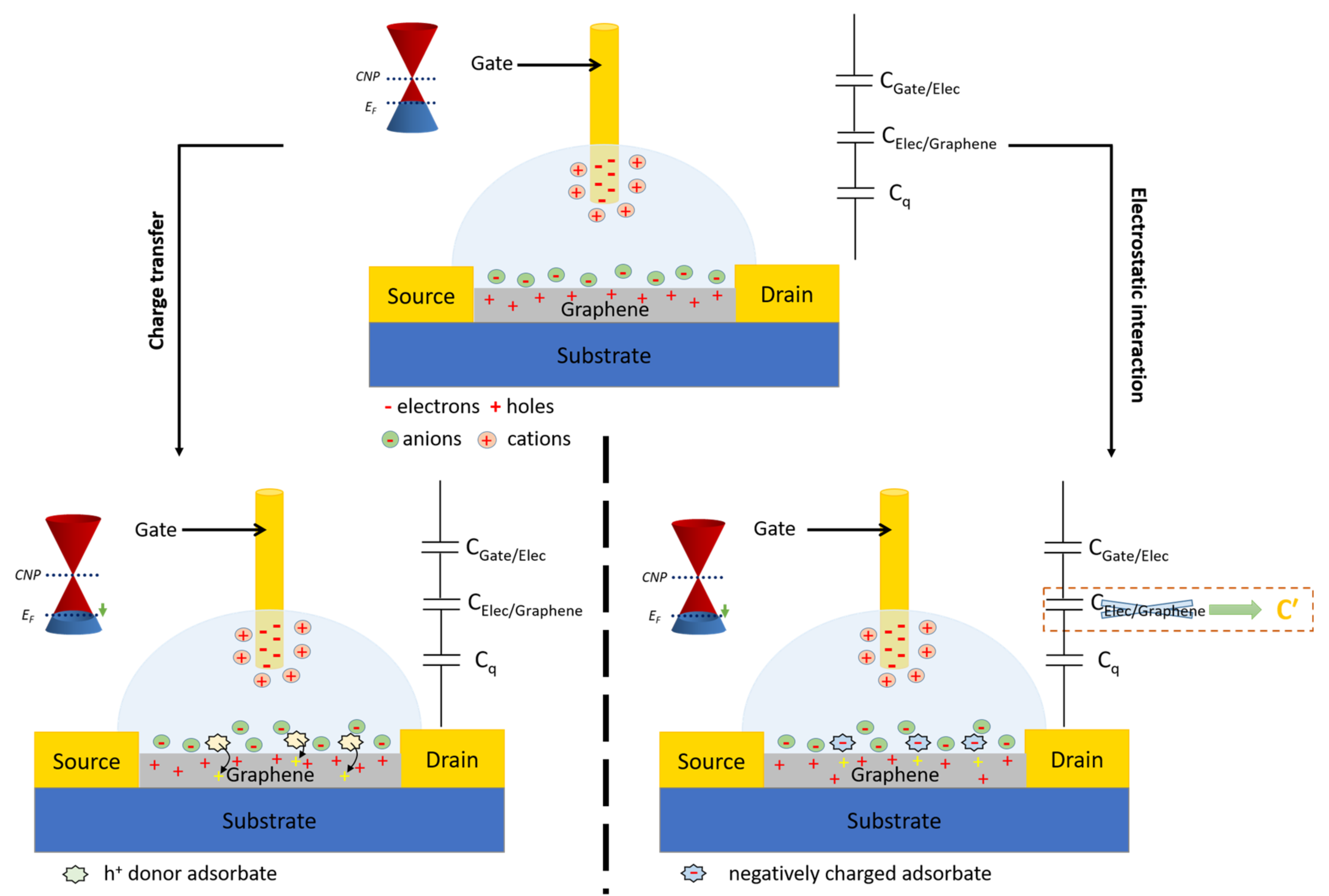 Biosensors 14 00541 g008