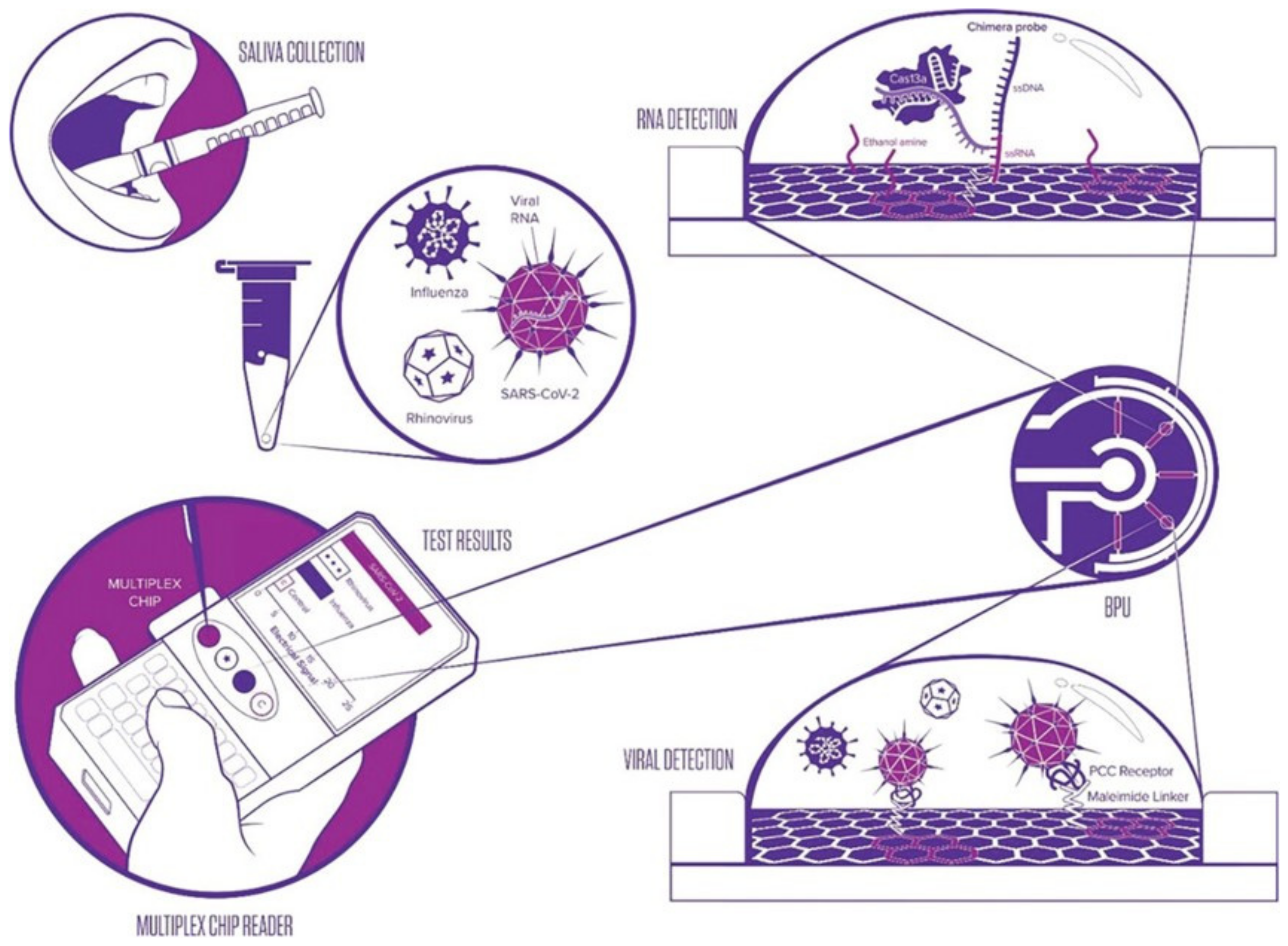 Biosensors 14 00541 g017