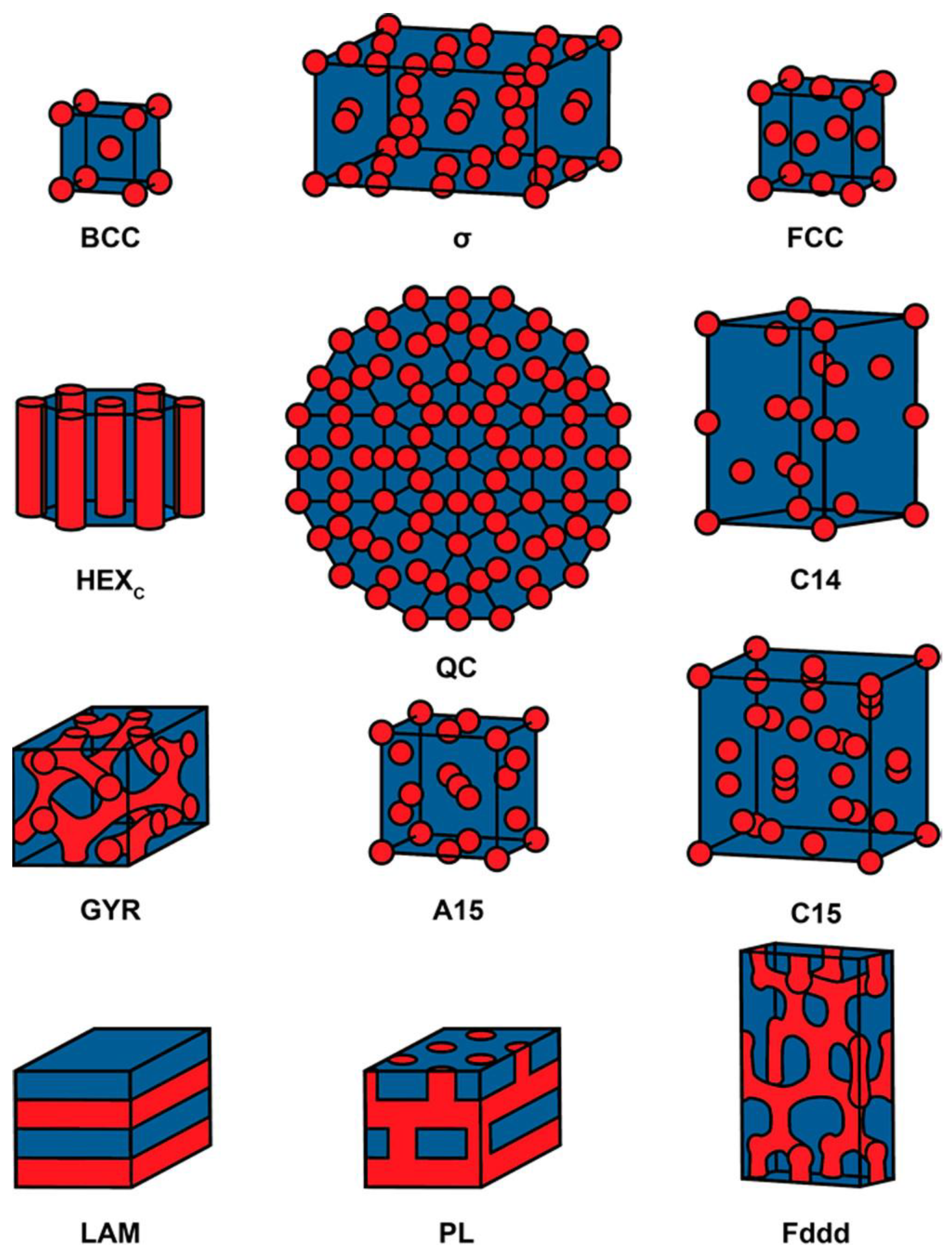 Biosensors 14 00542 g001
