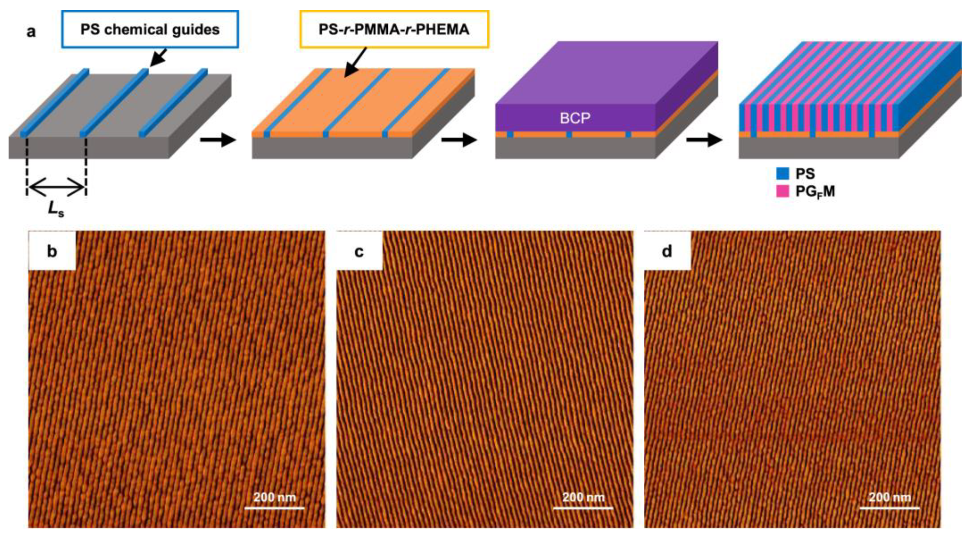 Biosensors 14 00542 g002
