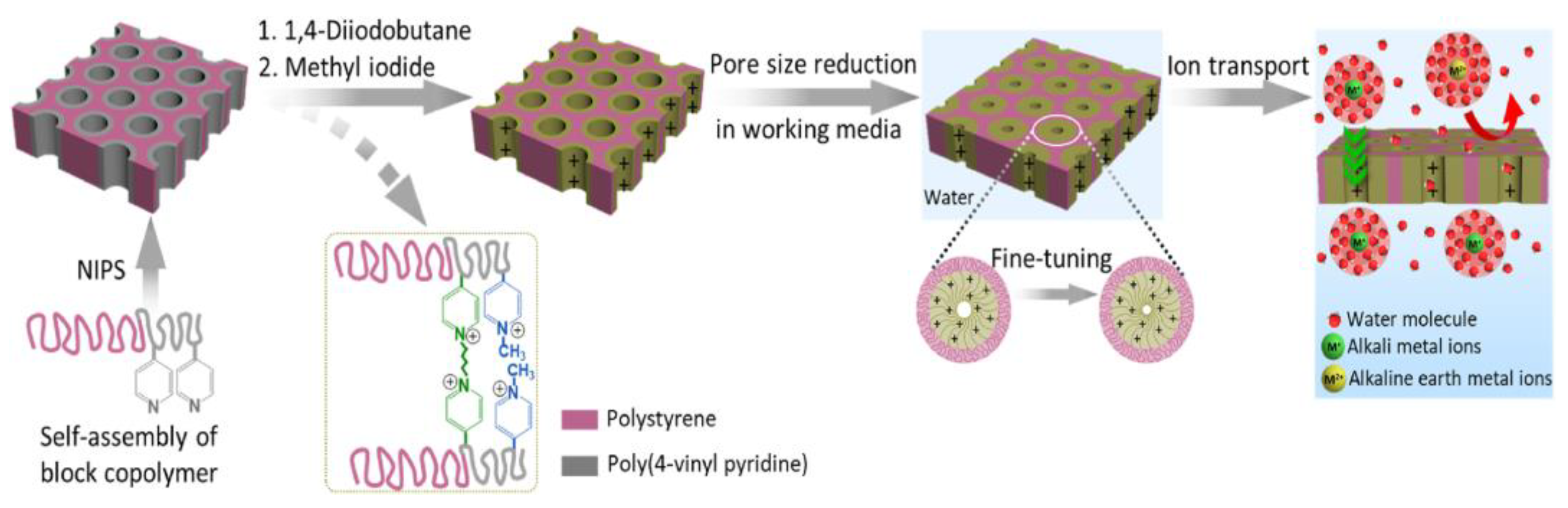 Biosensors 14 00542 g004