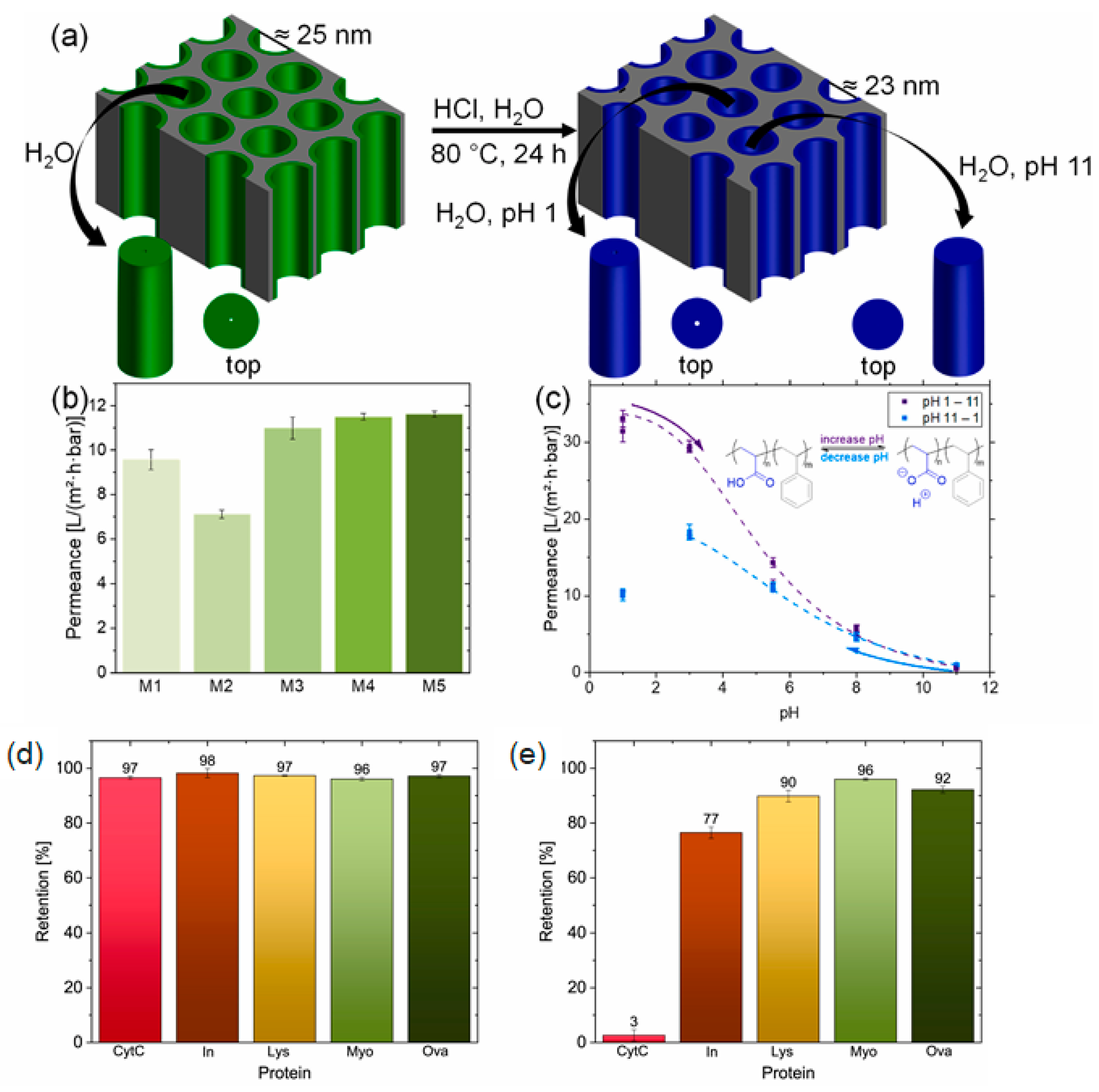 Biosensors 14 00542 g005