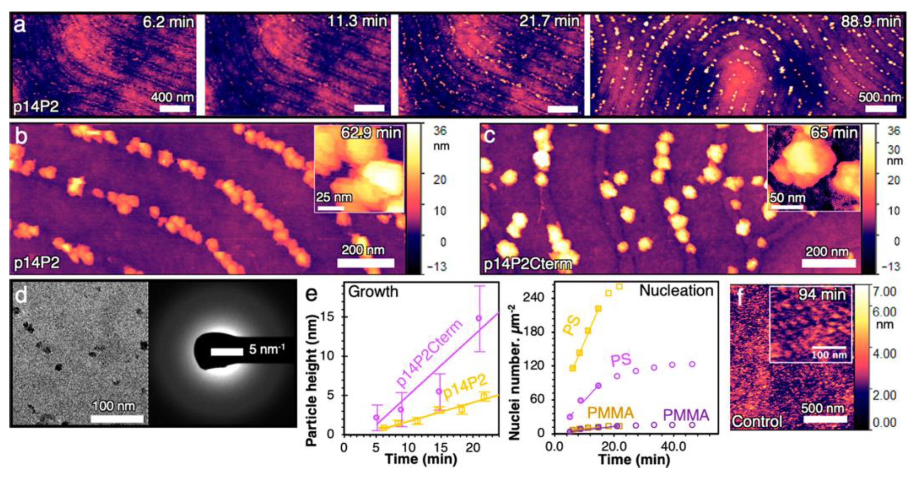 Biosensors 14 00542 g007