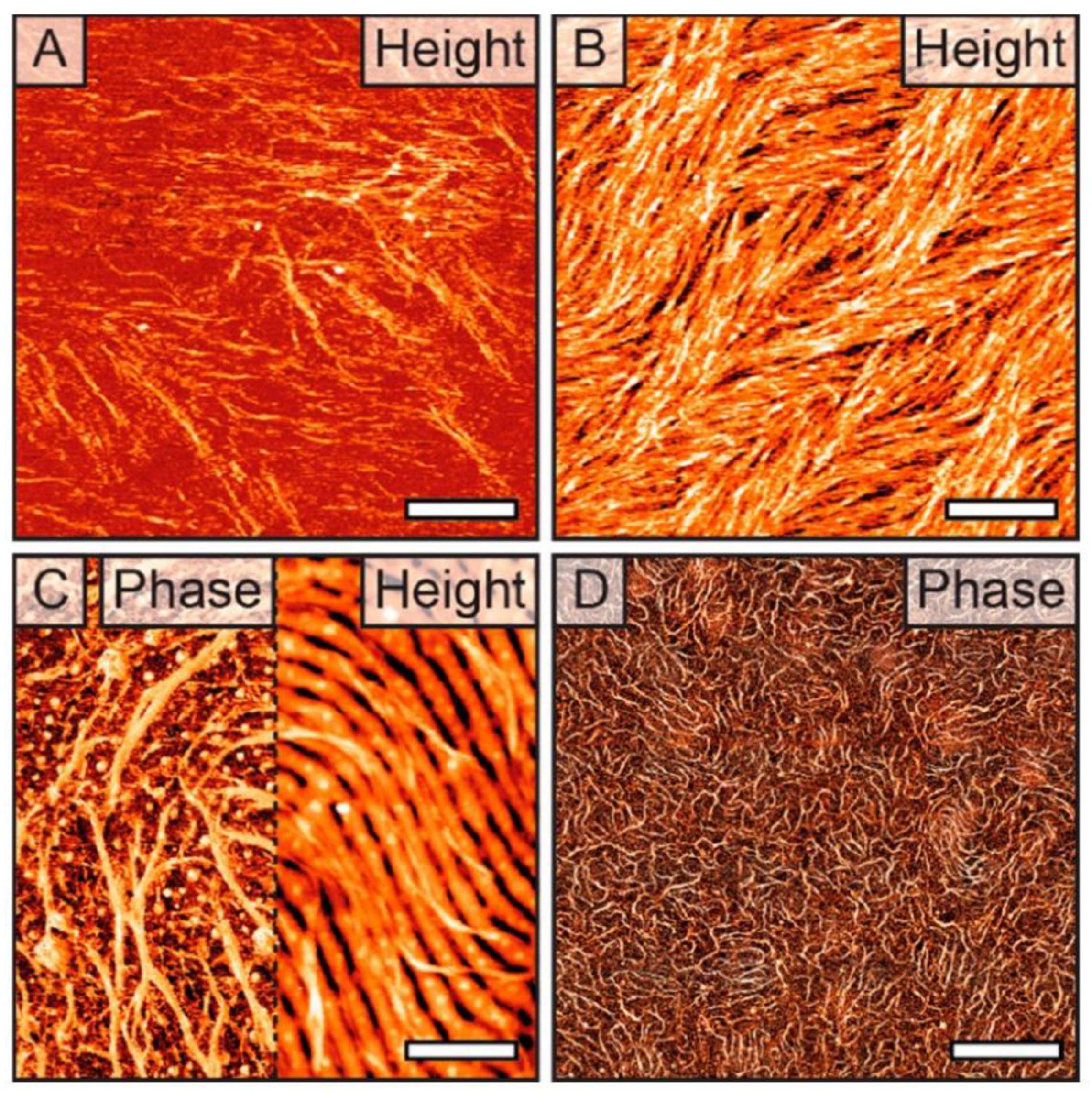 Biosensors 14 00542 g008
