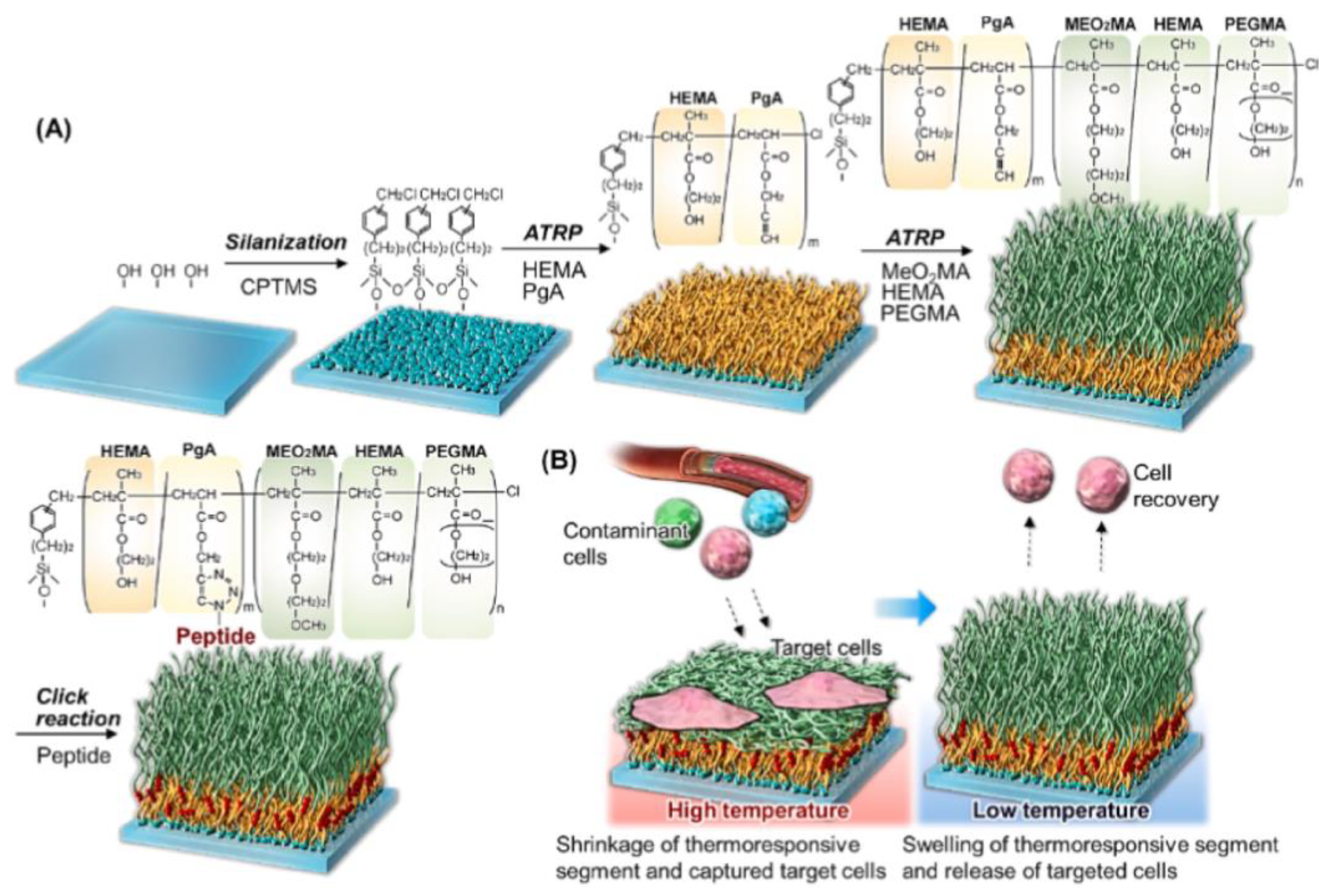 Biosensors 14 00542 g009