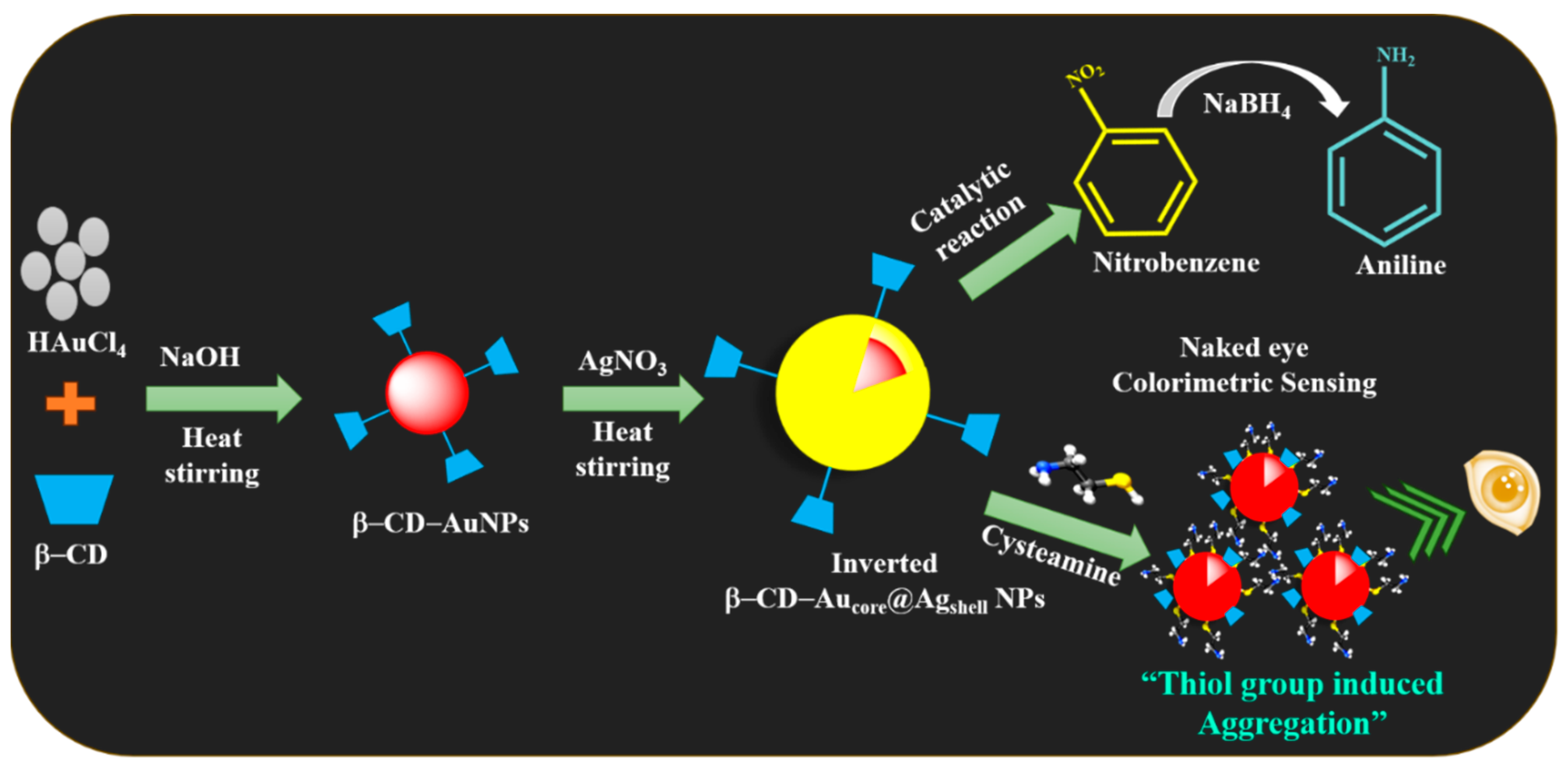 Biosensors 14 00544 sch001