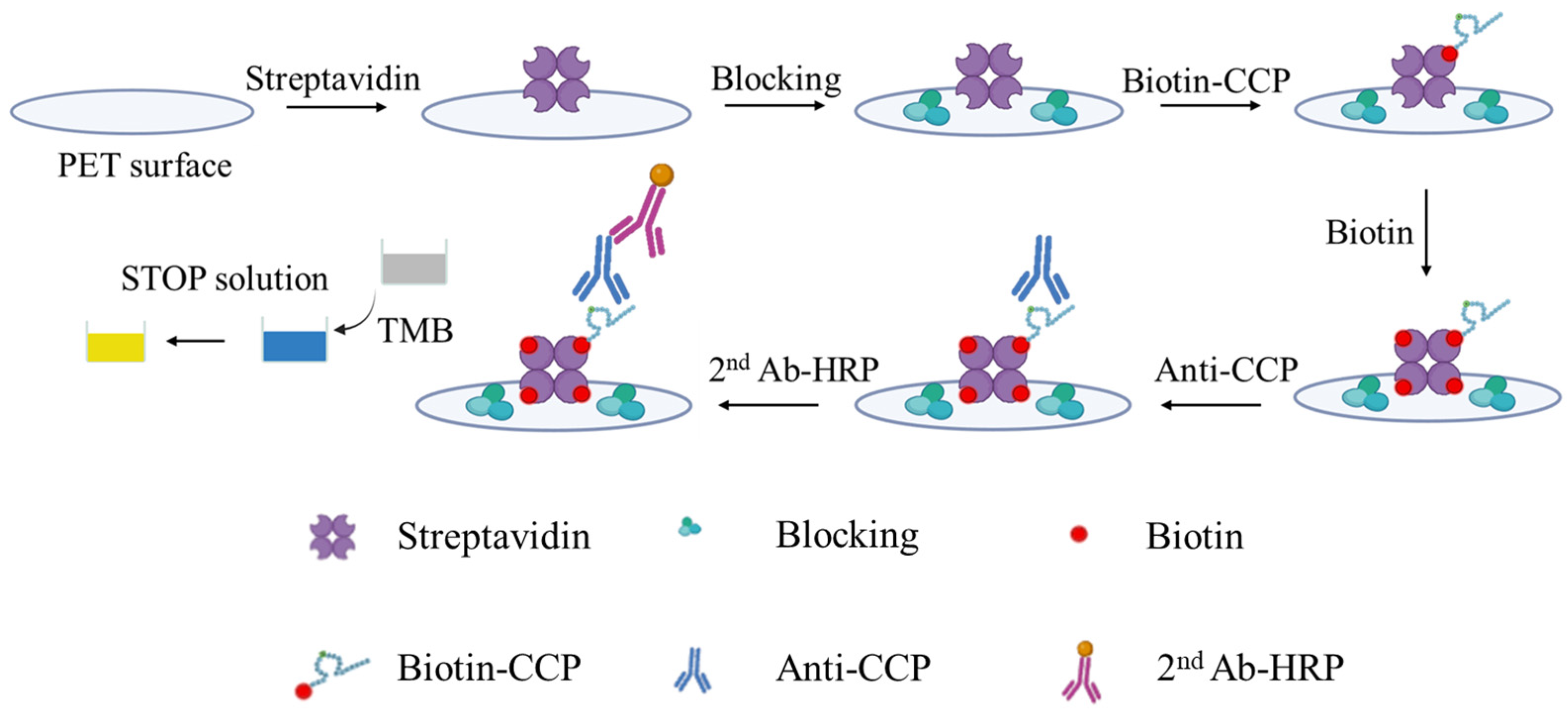 Biosensors 14 00545 g001