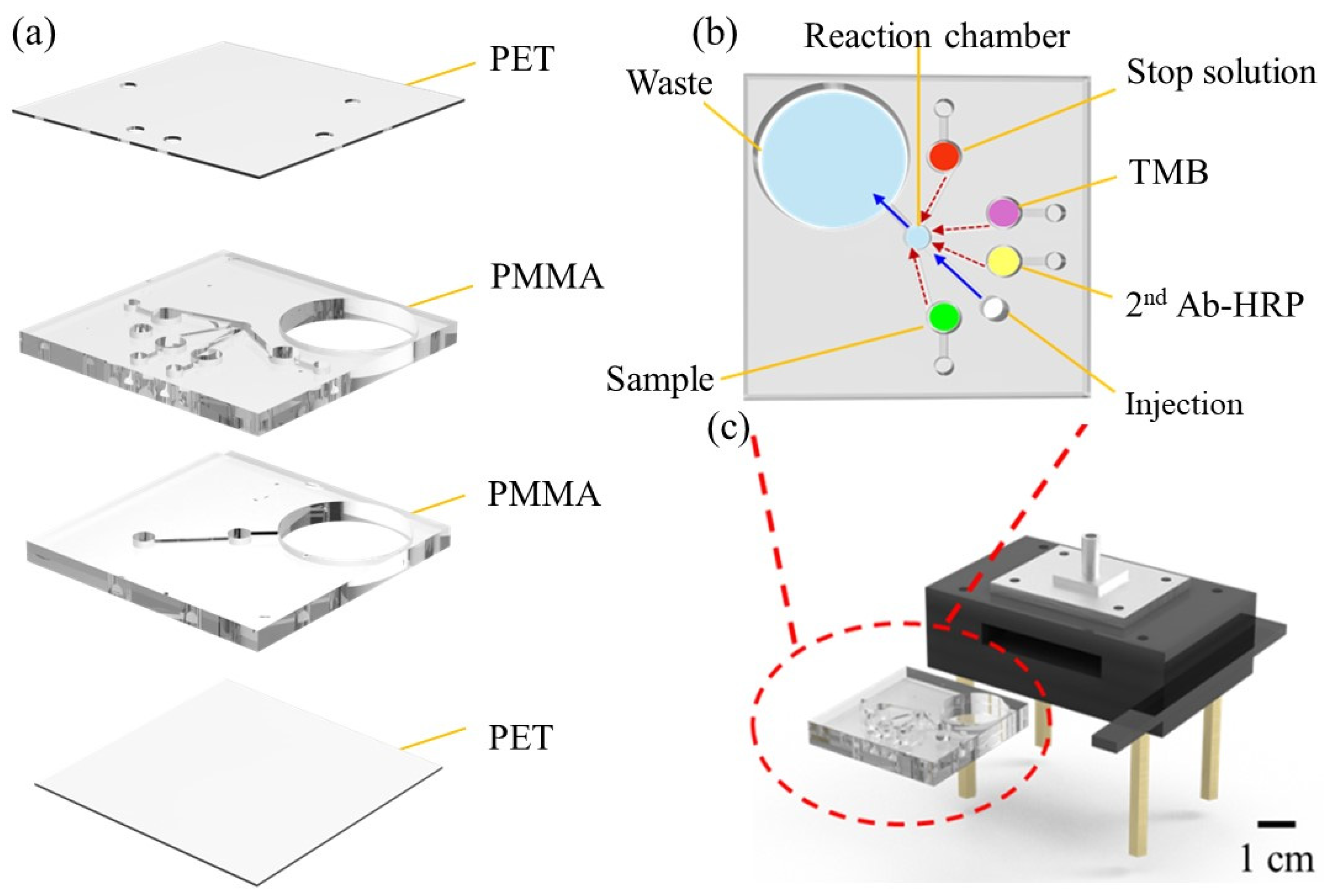 Biosensors 14 00545 g002