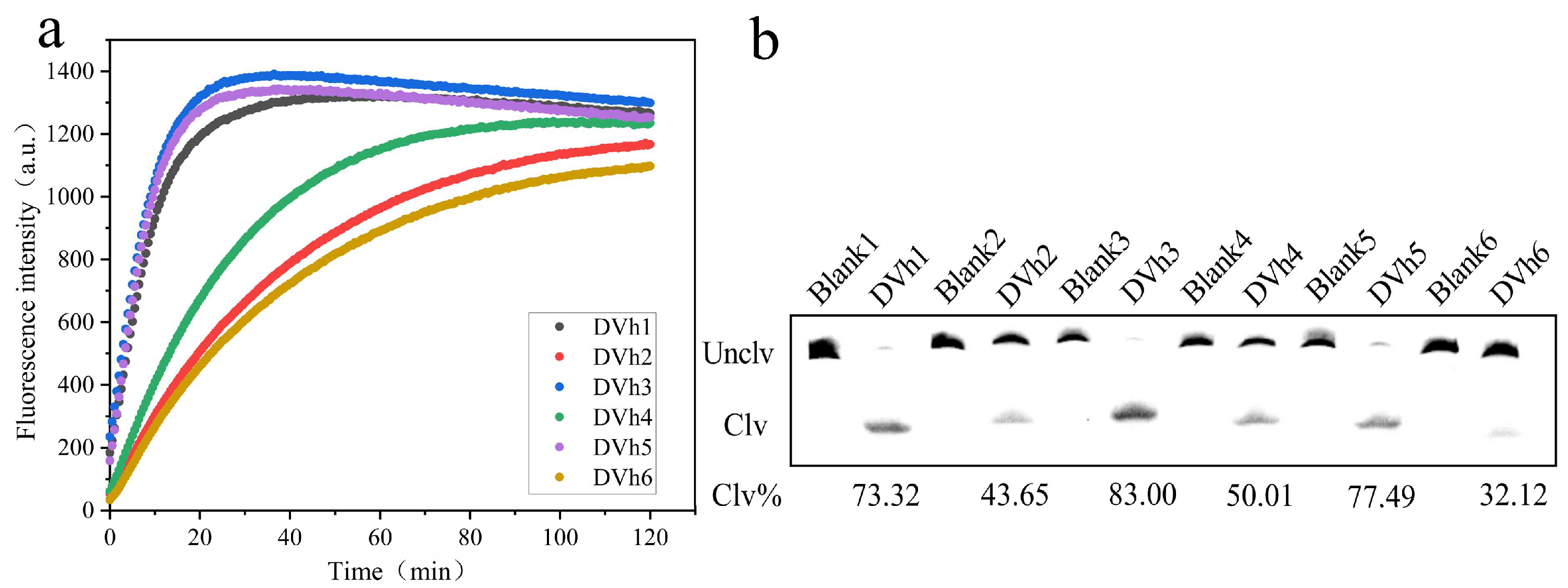 Biosensors 14 00548 g002 Biosensors 14 00548 g002