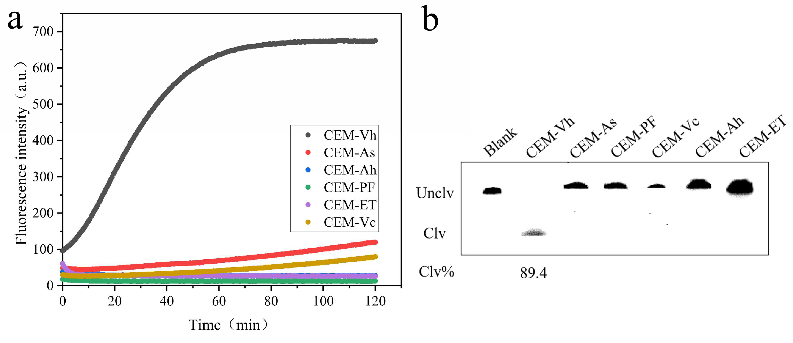 Biosensors 14 00548 g005 Biosensors 14 00548 g005