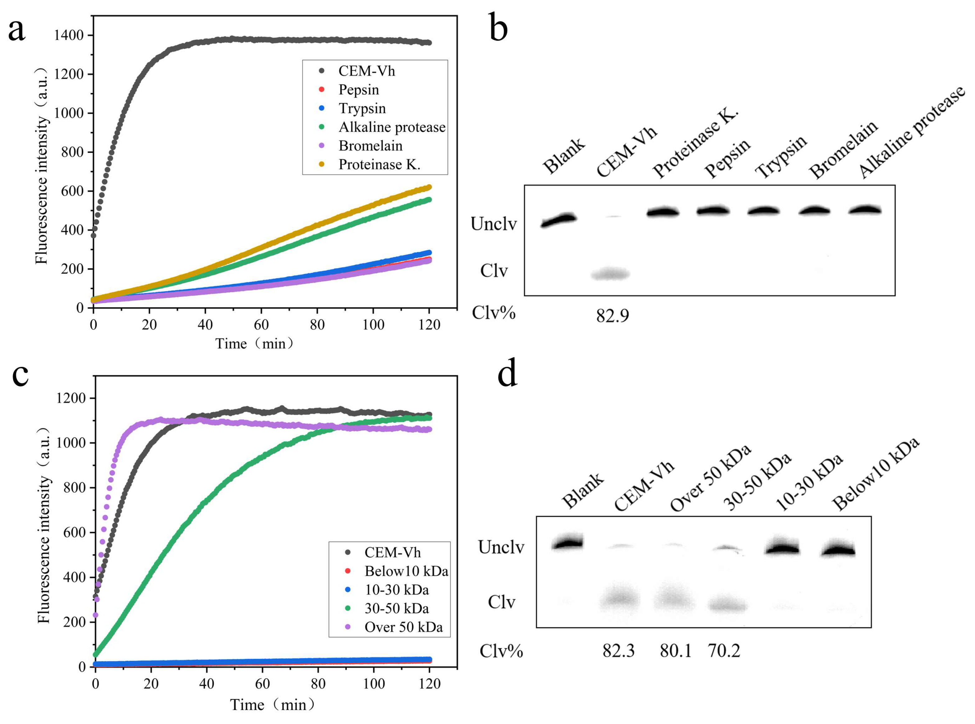 Biosensors 14 00548 g007 Biosensors 14 00548 g007