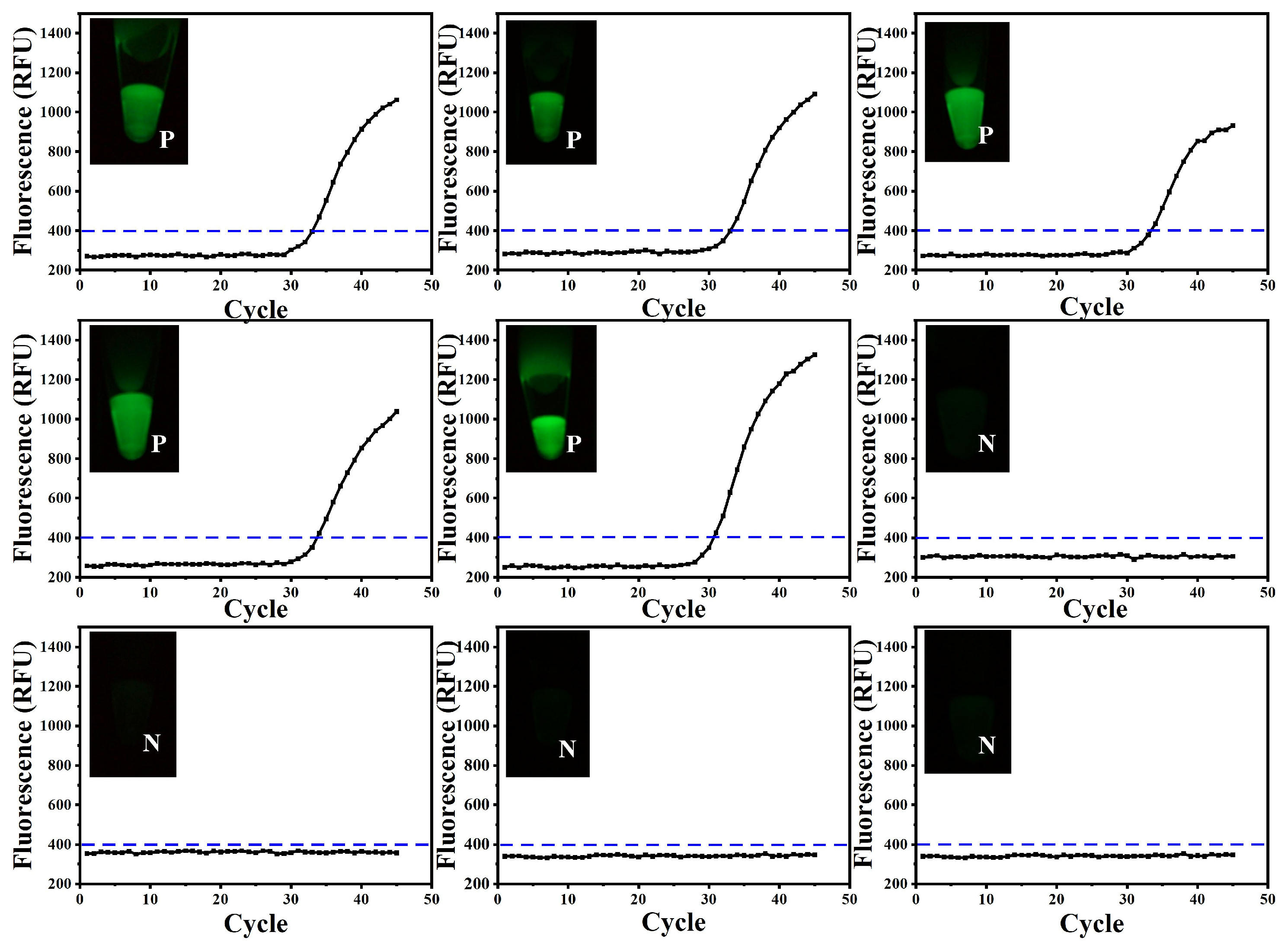 Biosensors 14 00549 g005