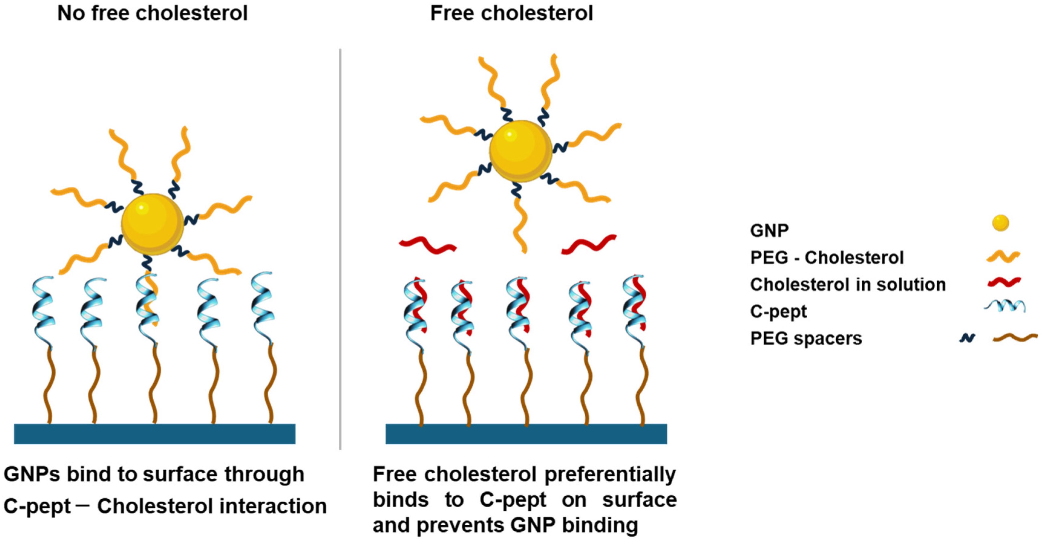 Biosensors 14 00551 sch003