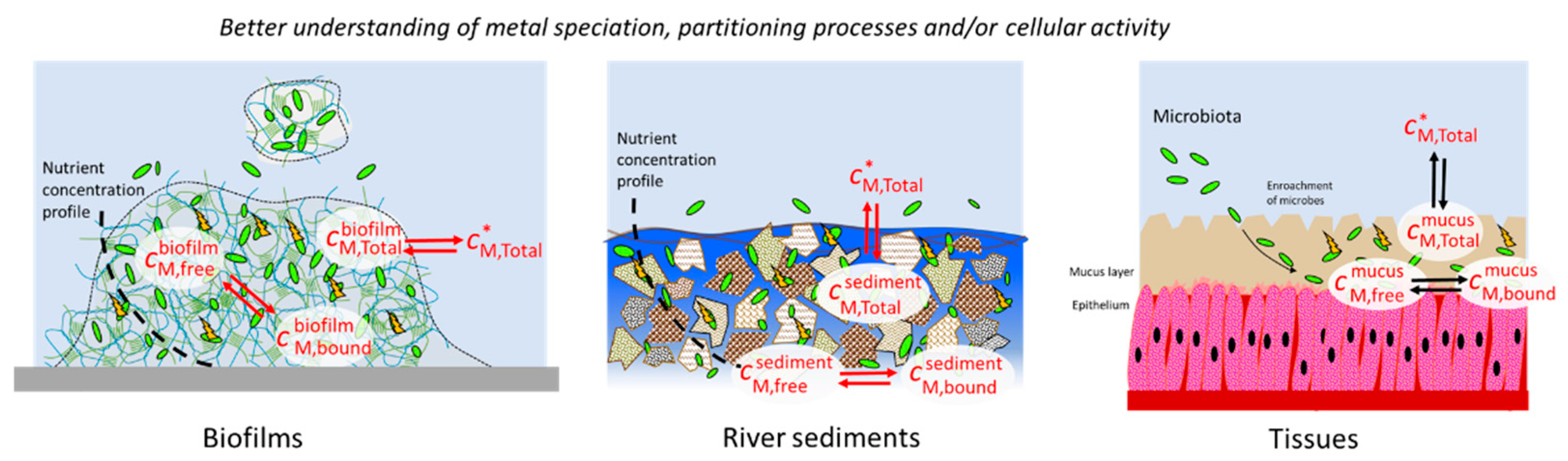 Biosensors 14 00552 g010