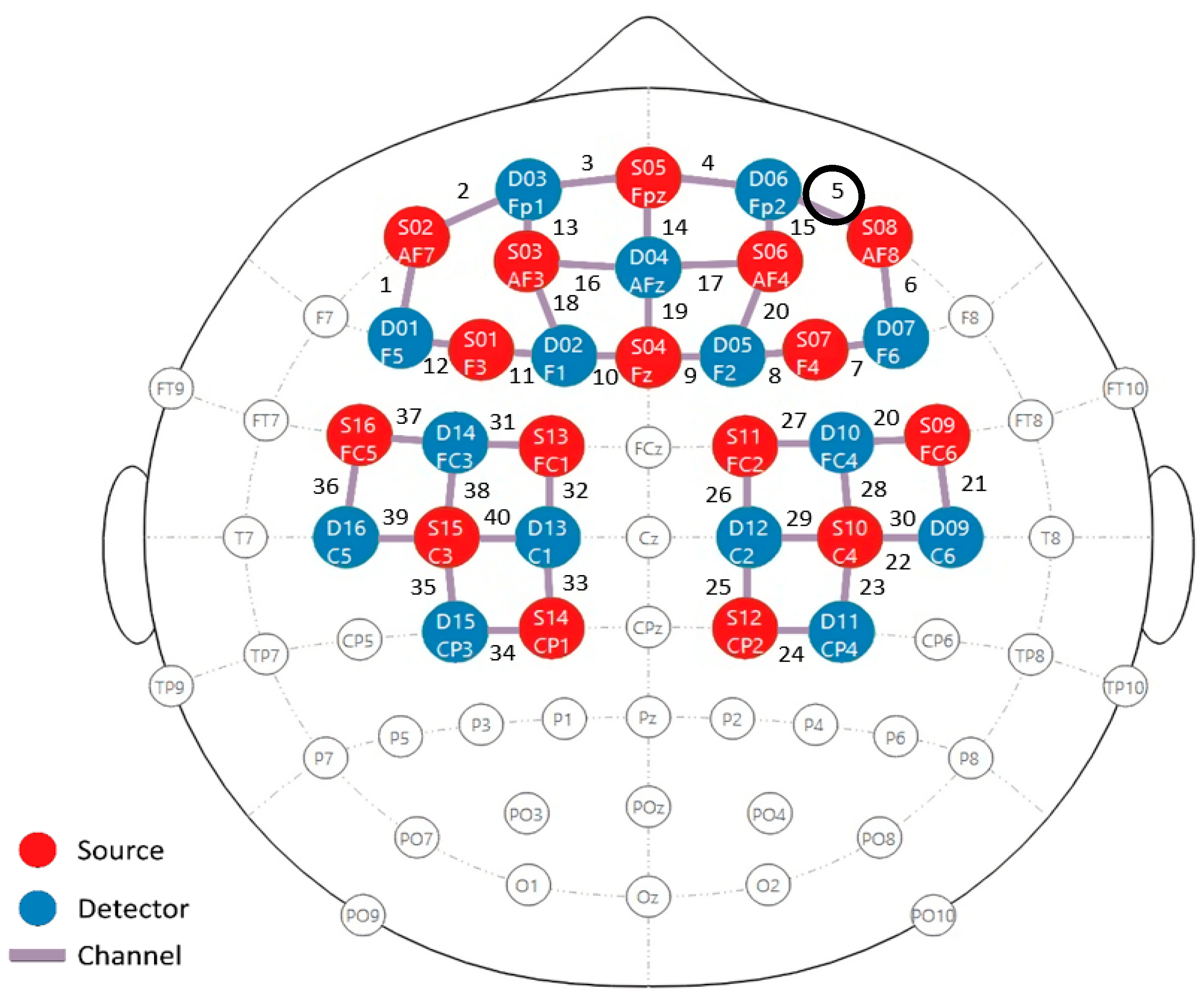 Biosensors 14 00553 g002
