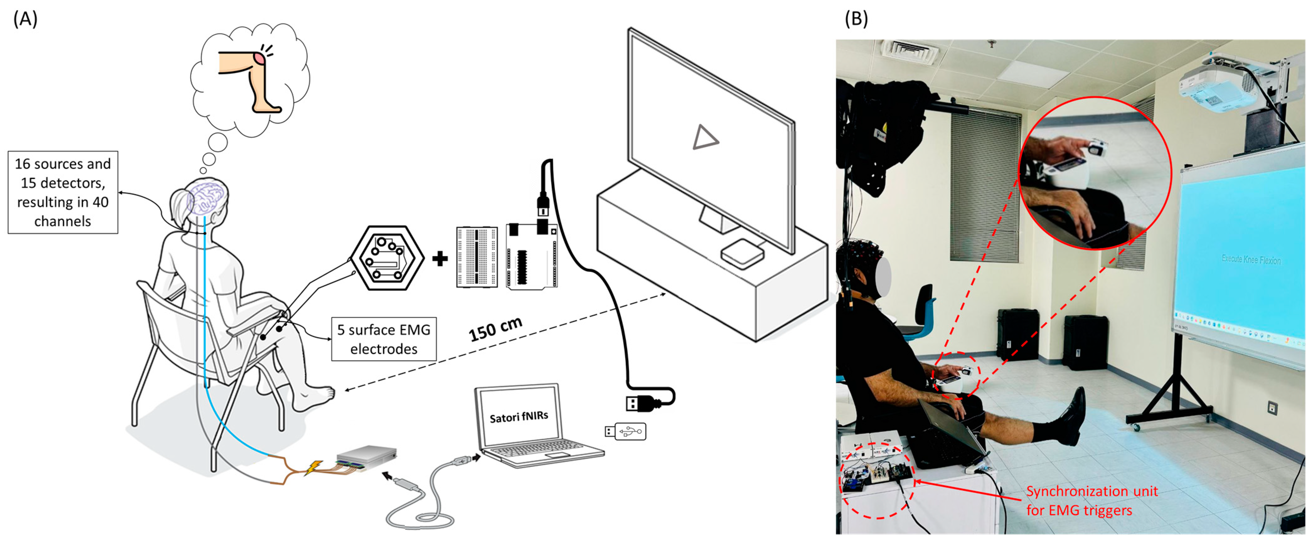 Biosensors 14 00553 g006