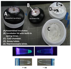 Biosensors 14 00554 i004