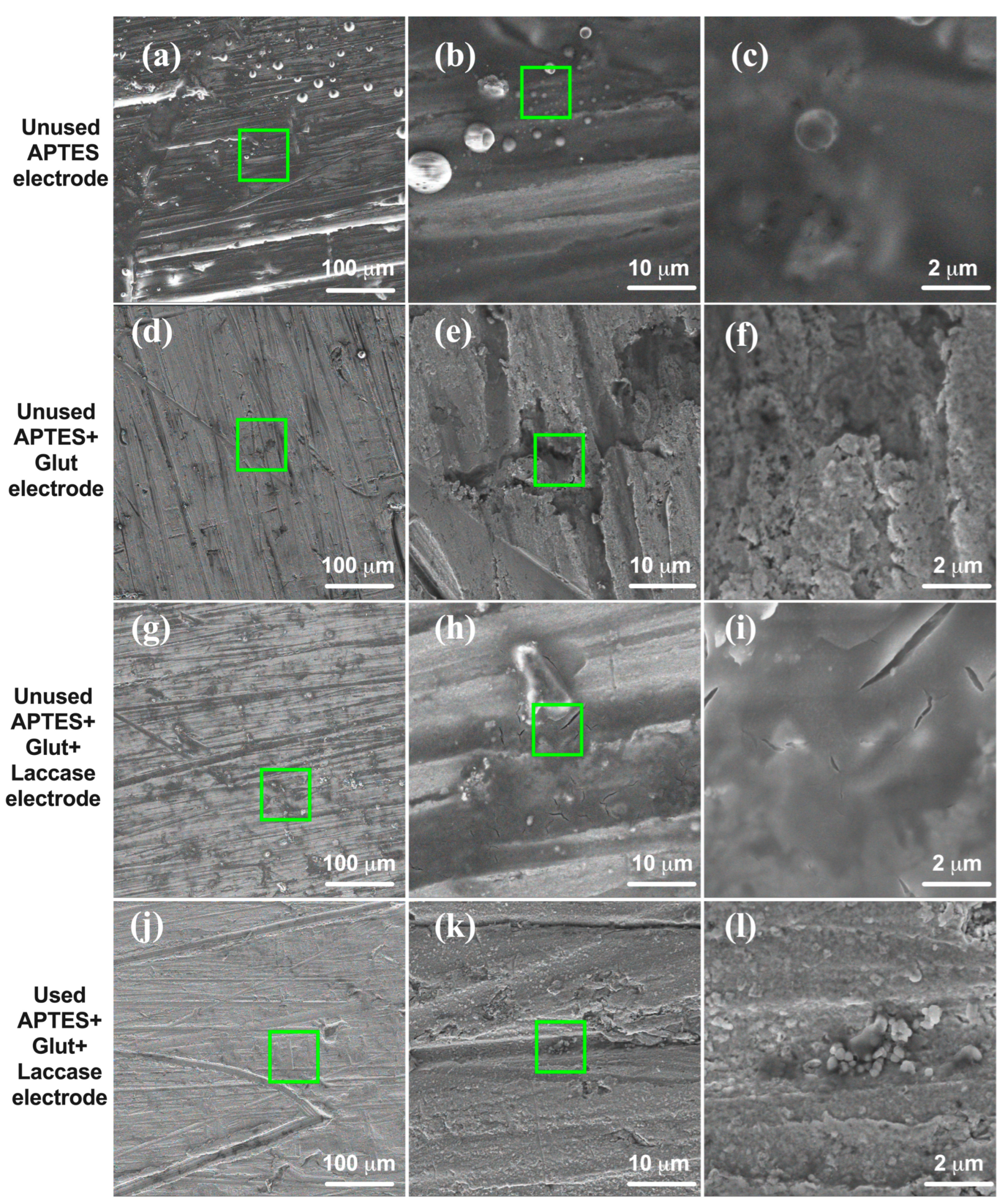 Biosensors 14 00557 g004