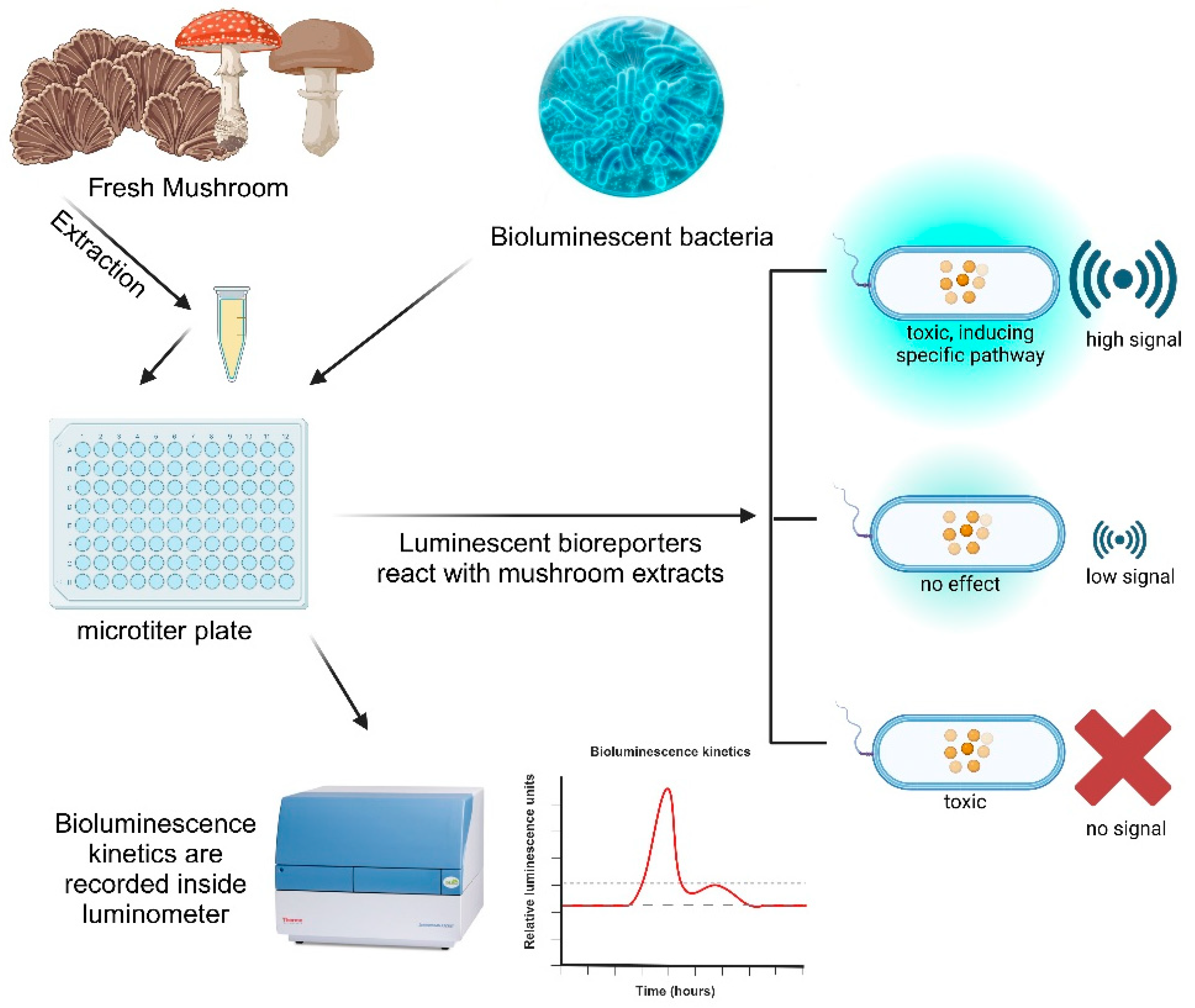 Biosensors 14 00558 g001