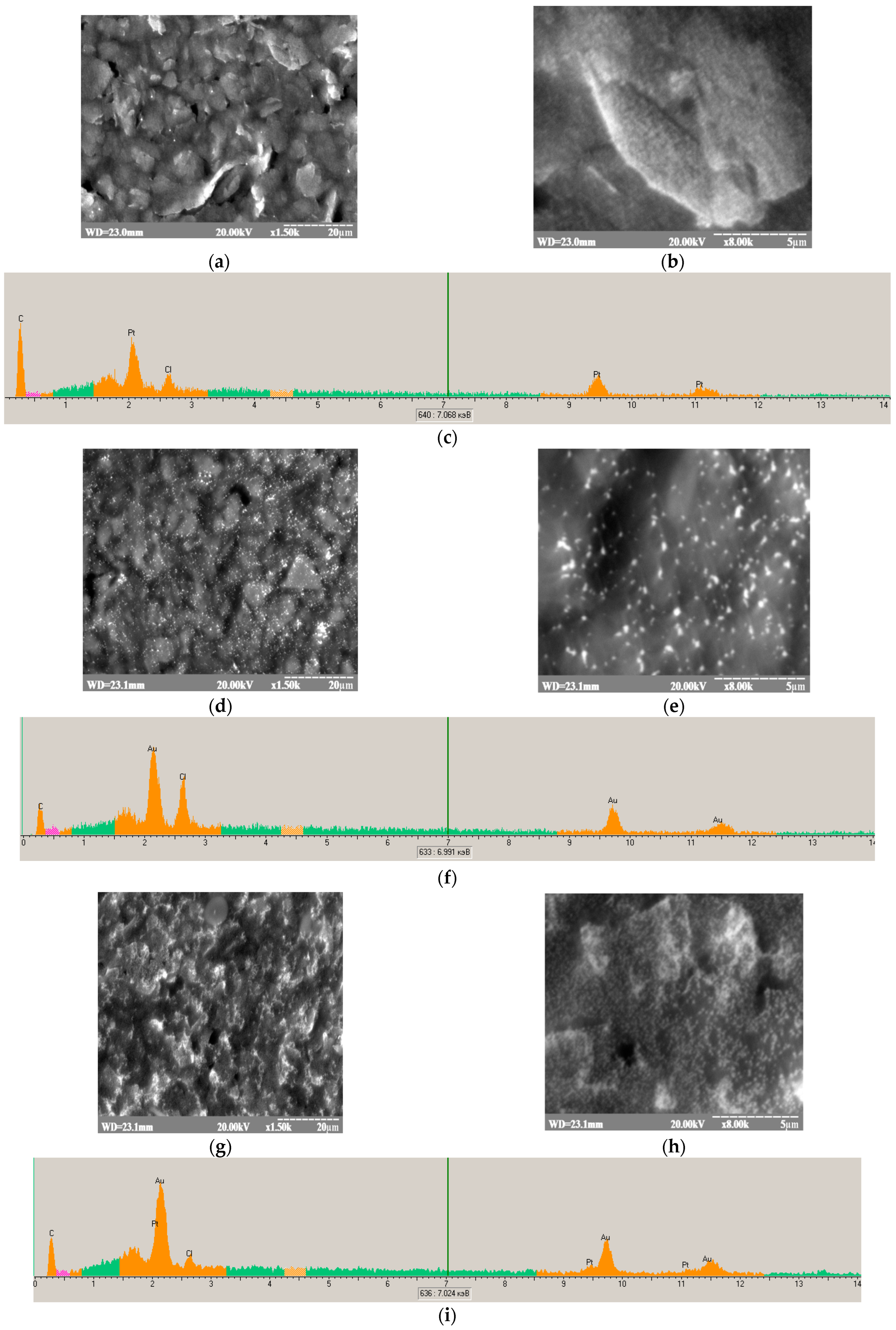 Biosensors 14 00562 g003 Biosensors 14 00562 g003
