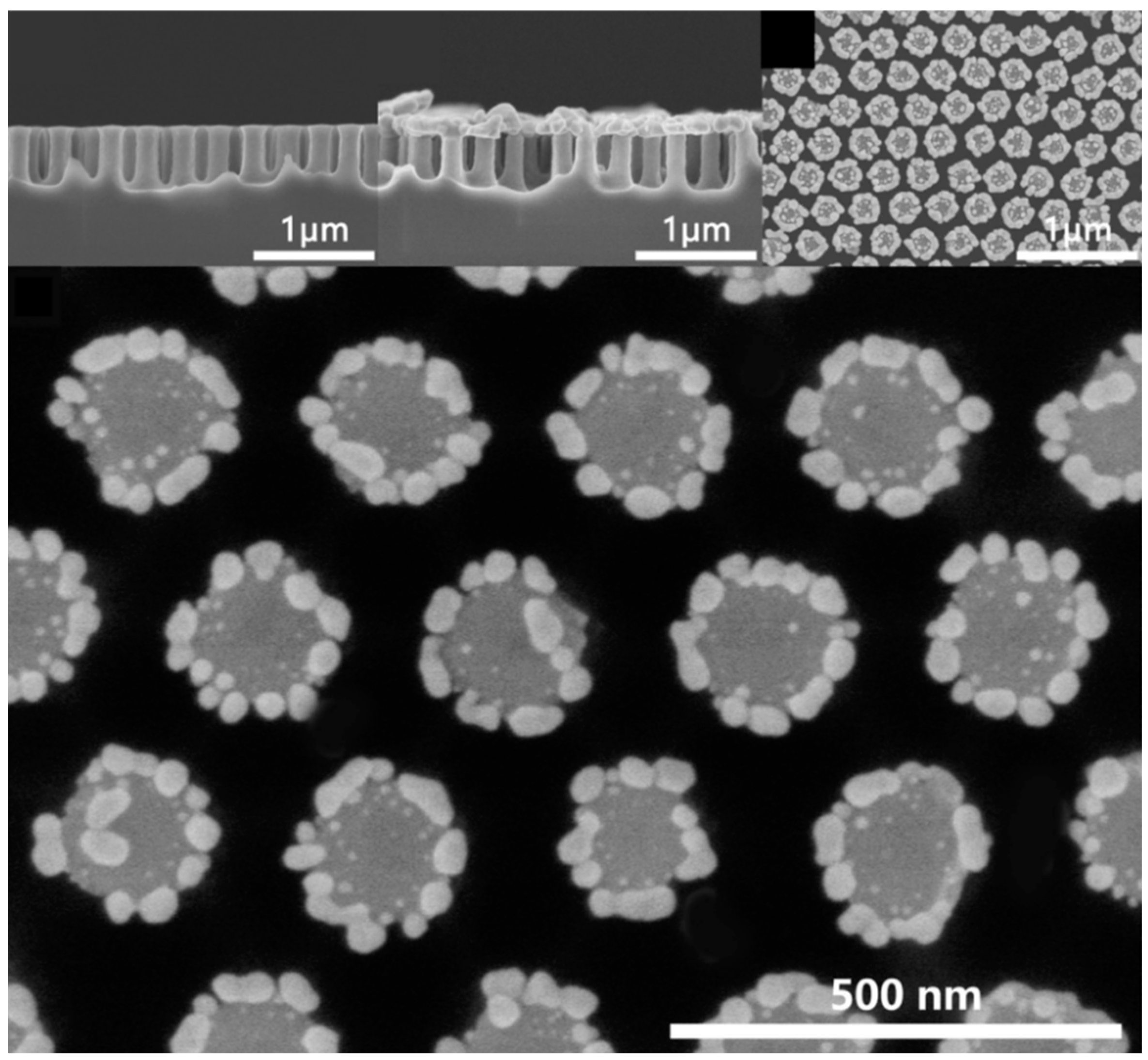 Biosensors 14 00564 g005