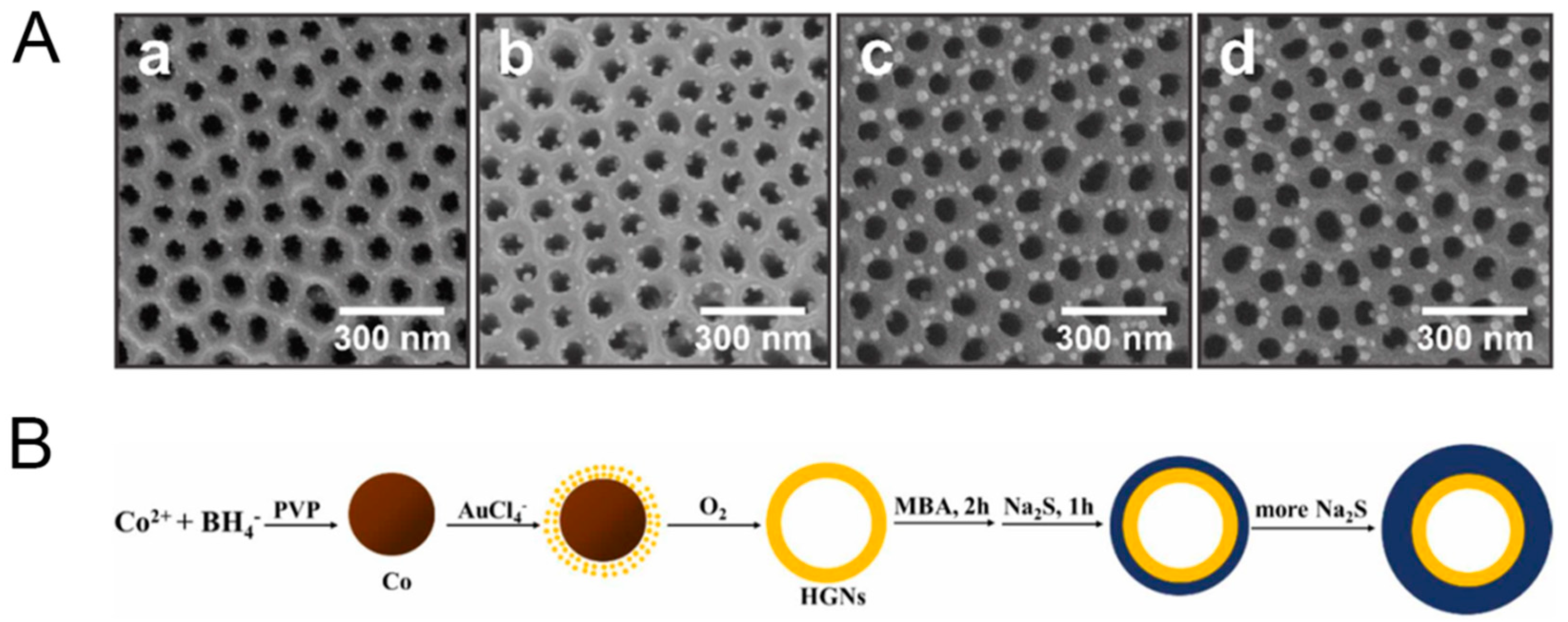 Biosensors 14 00564 g013