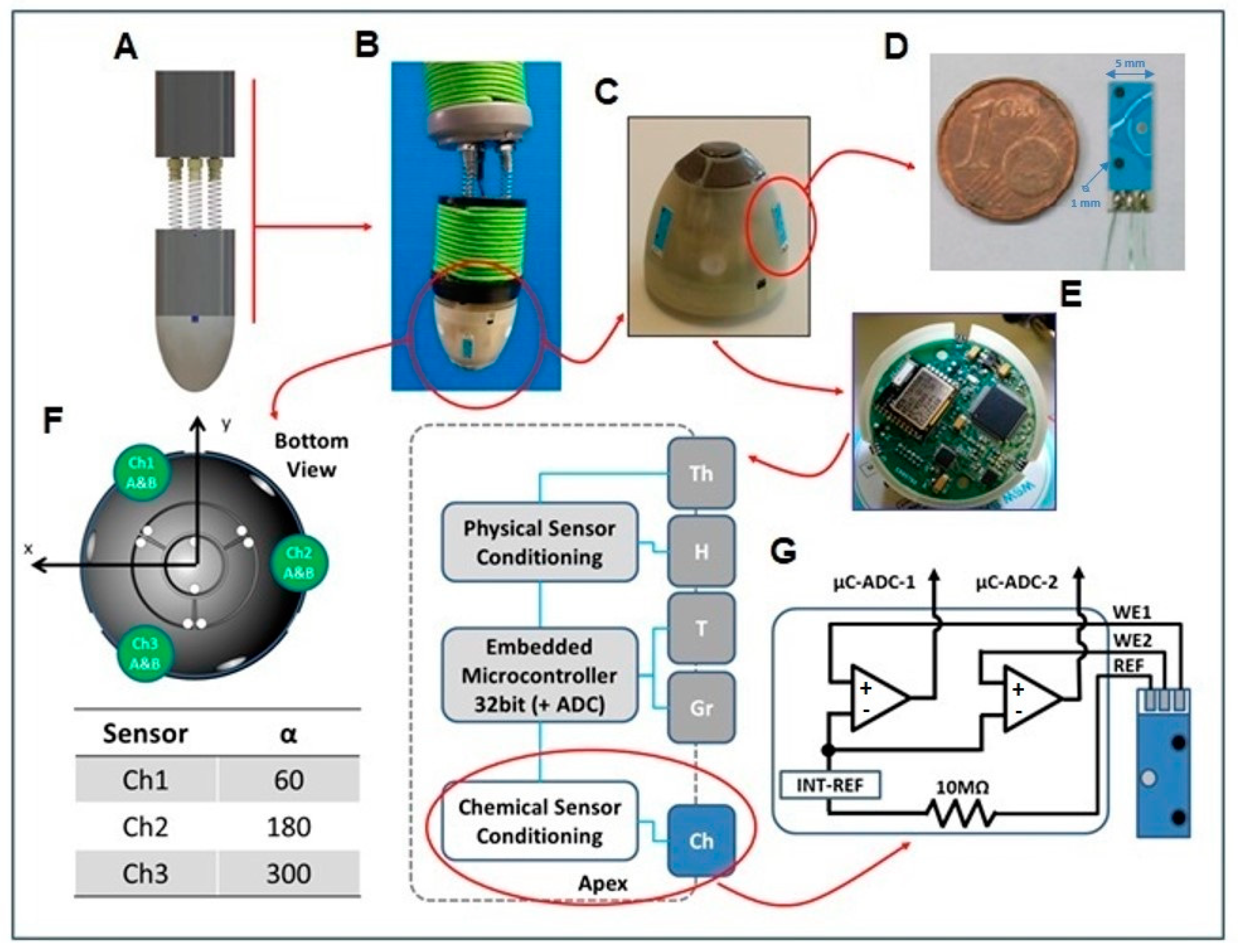 Biosensors 14 00565 g003