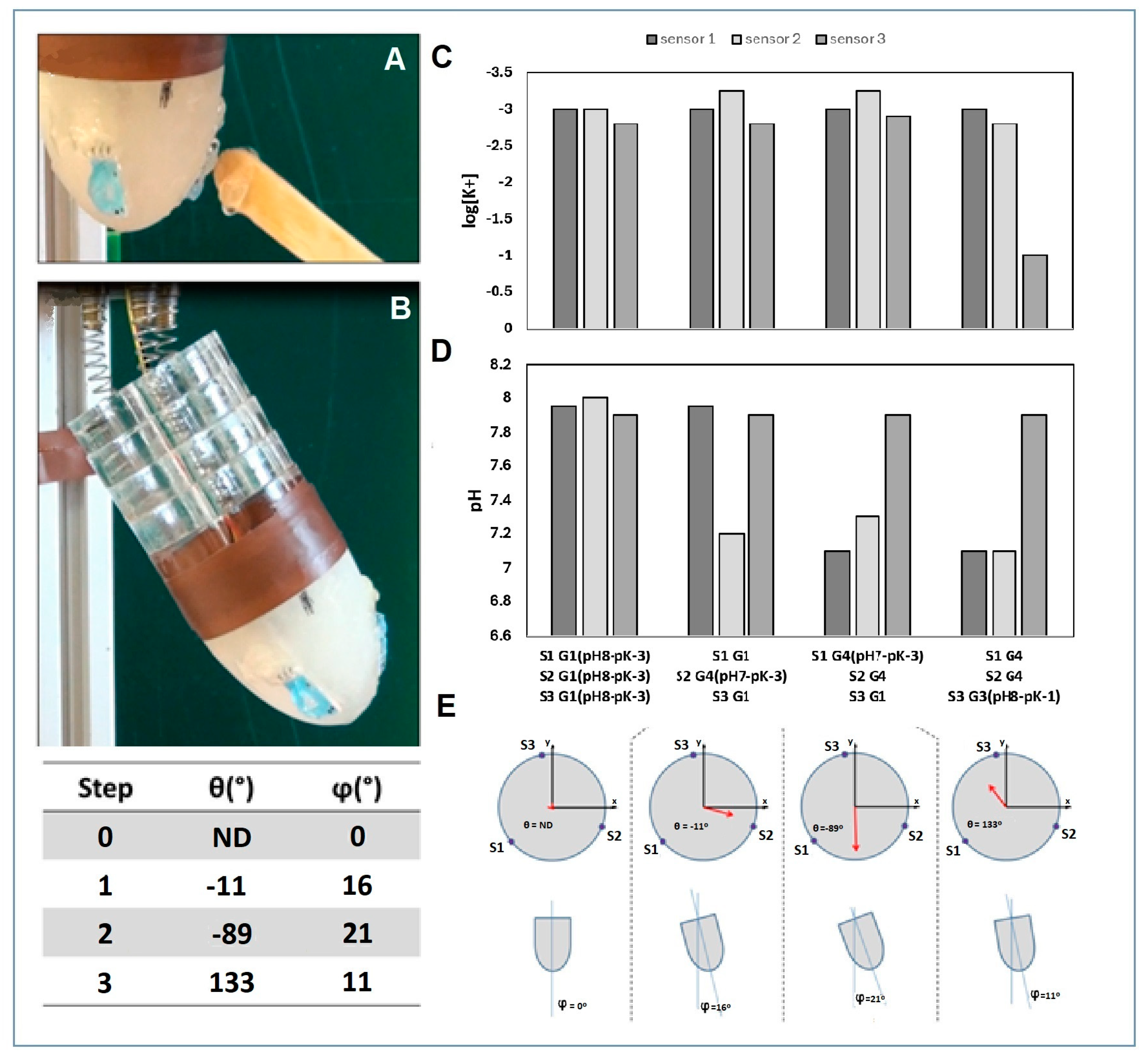 Biosensors 14 00565 g005