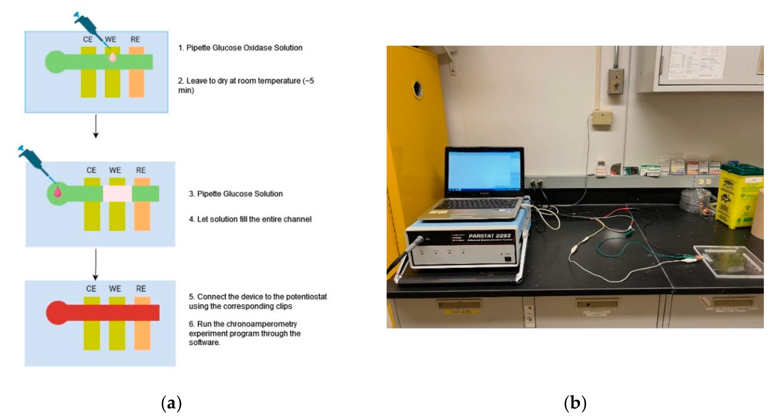 Biosensors 14 00569 g002