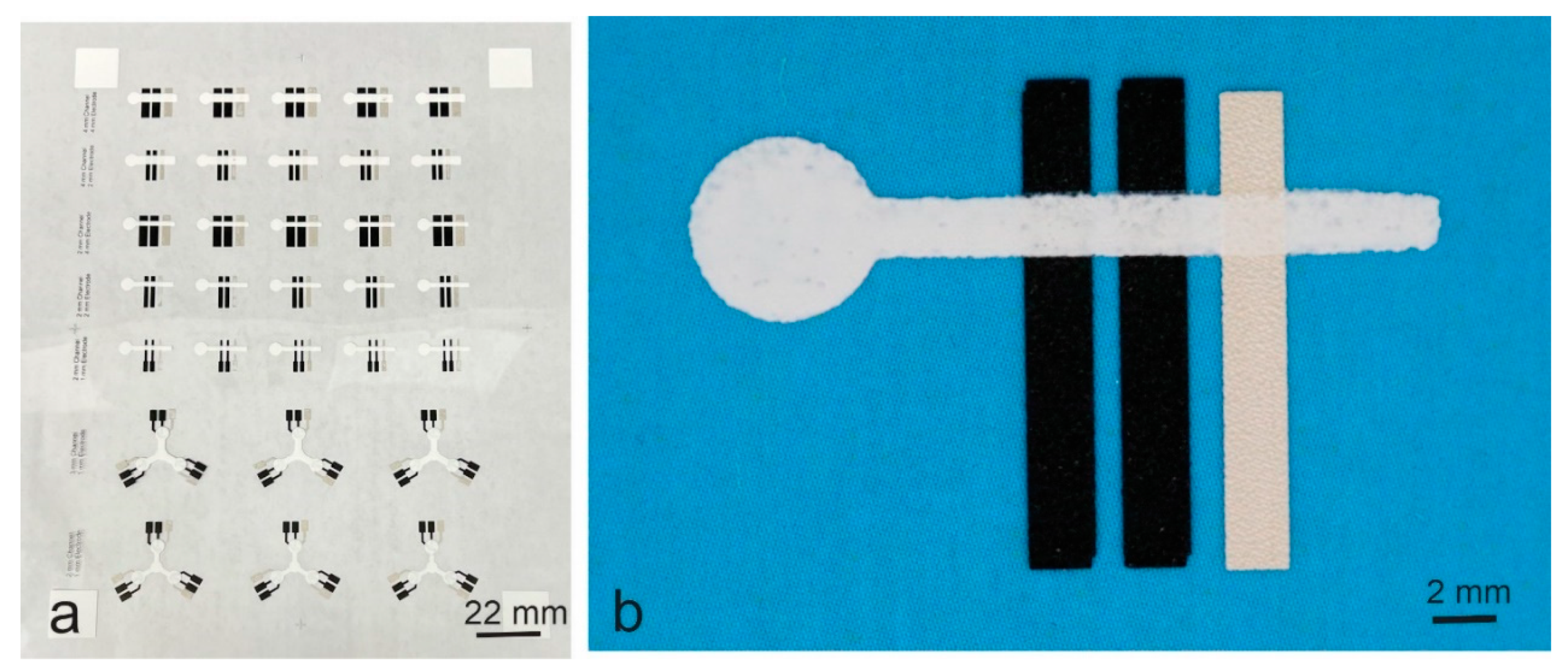 Biosensors 14 00569 g003