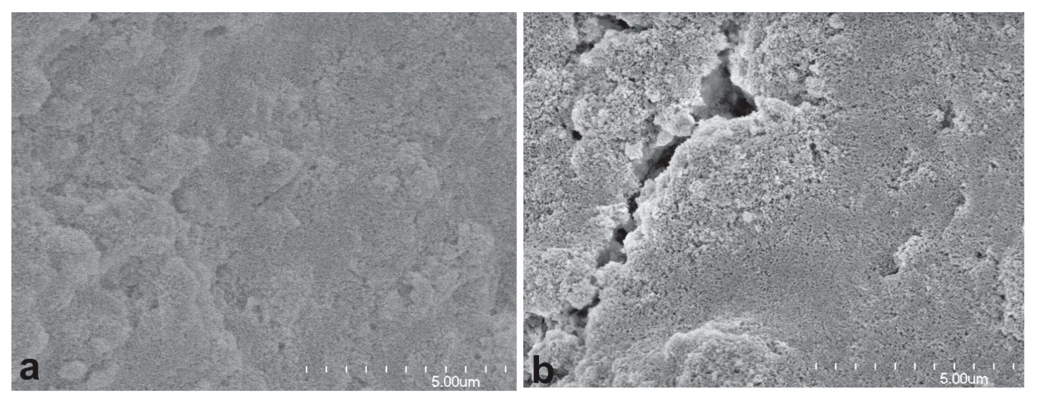 Biosensors 14 00569 g006