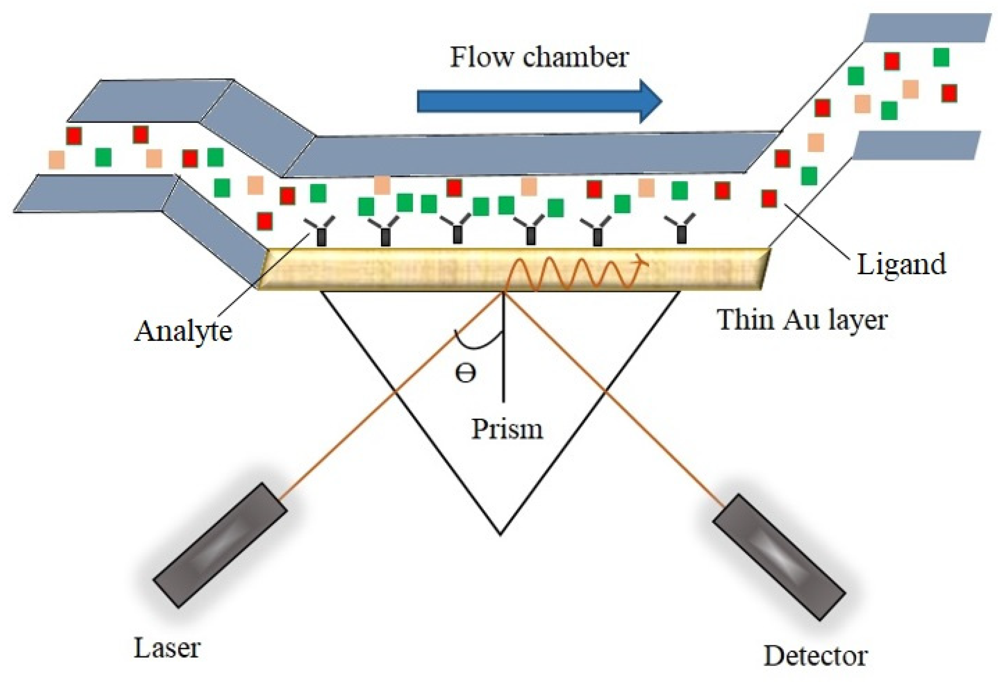 Biosensors 14 00571 g001