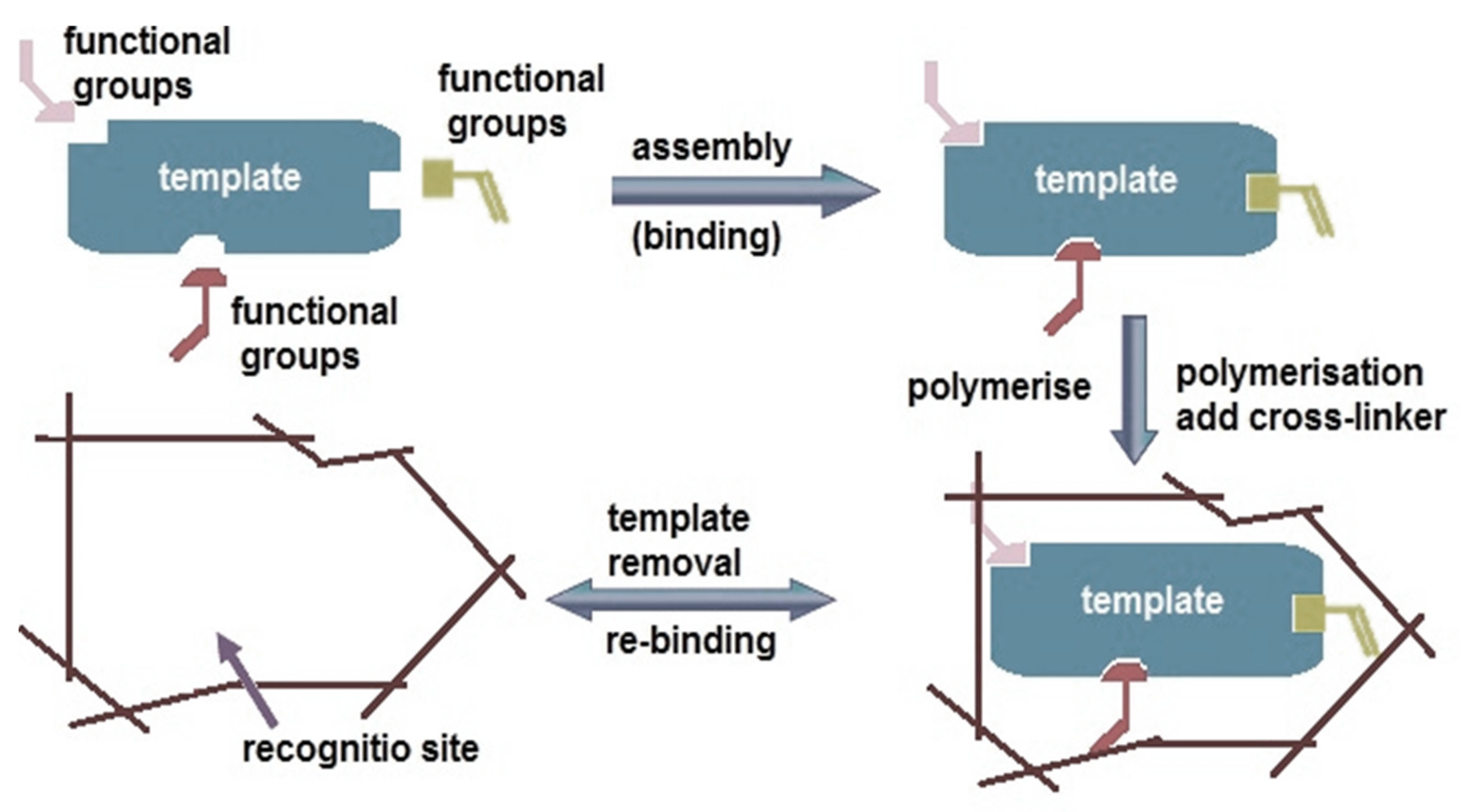 Biosensors 14 00571 g003