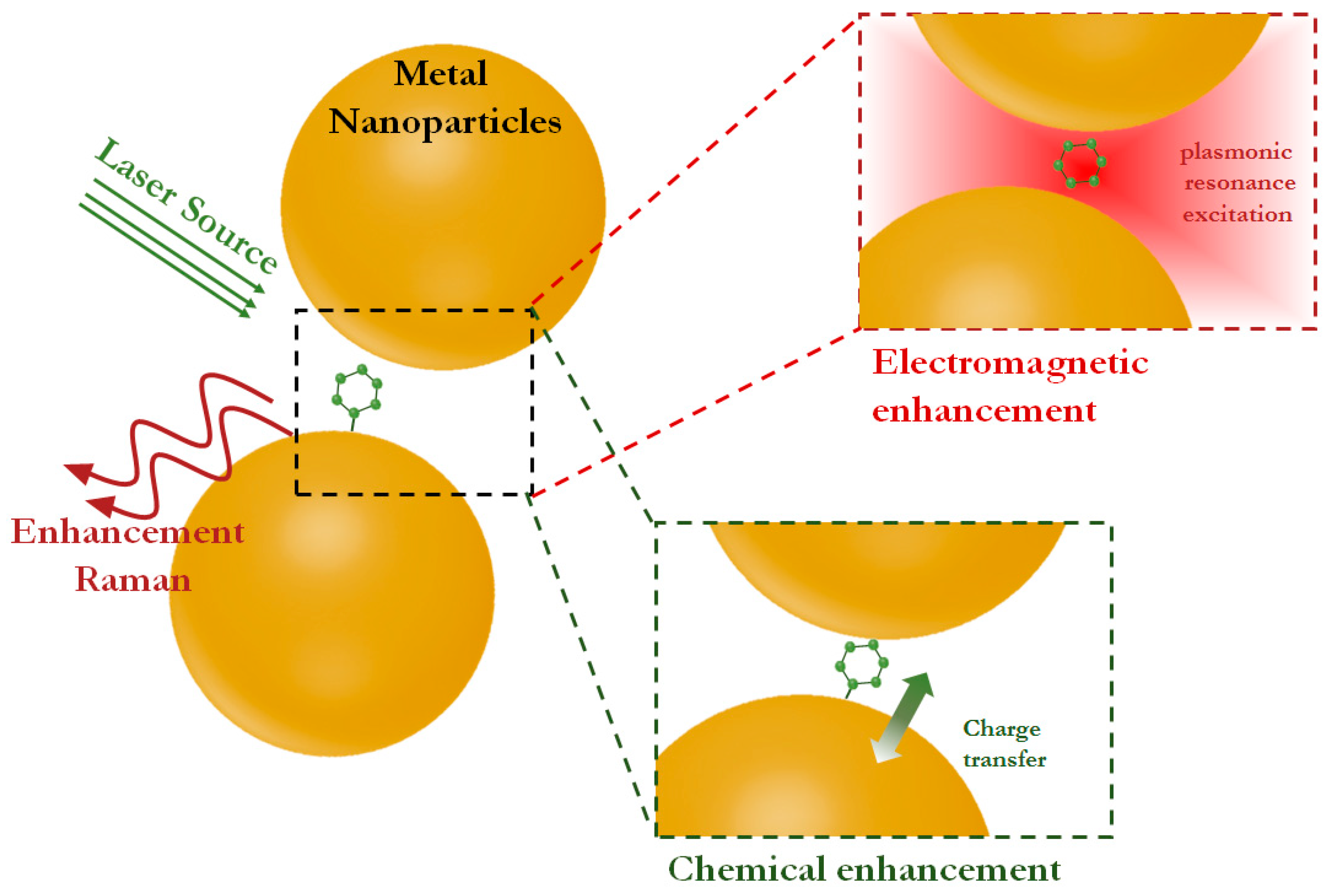 Biosensors 14 00573 g001