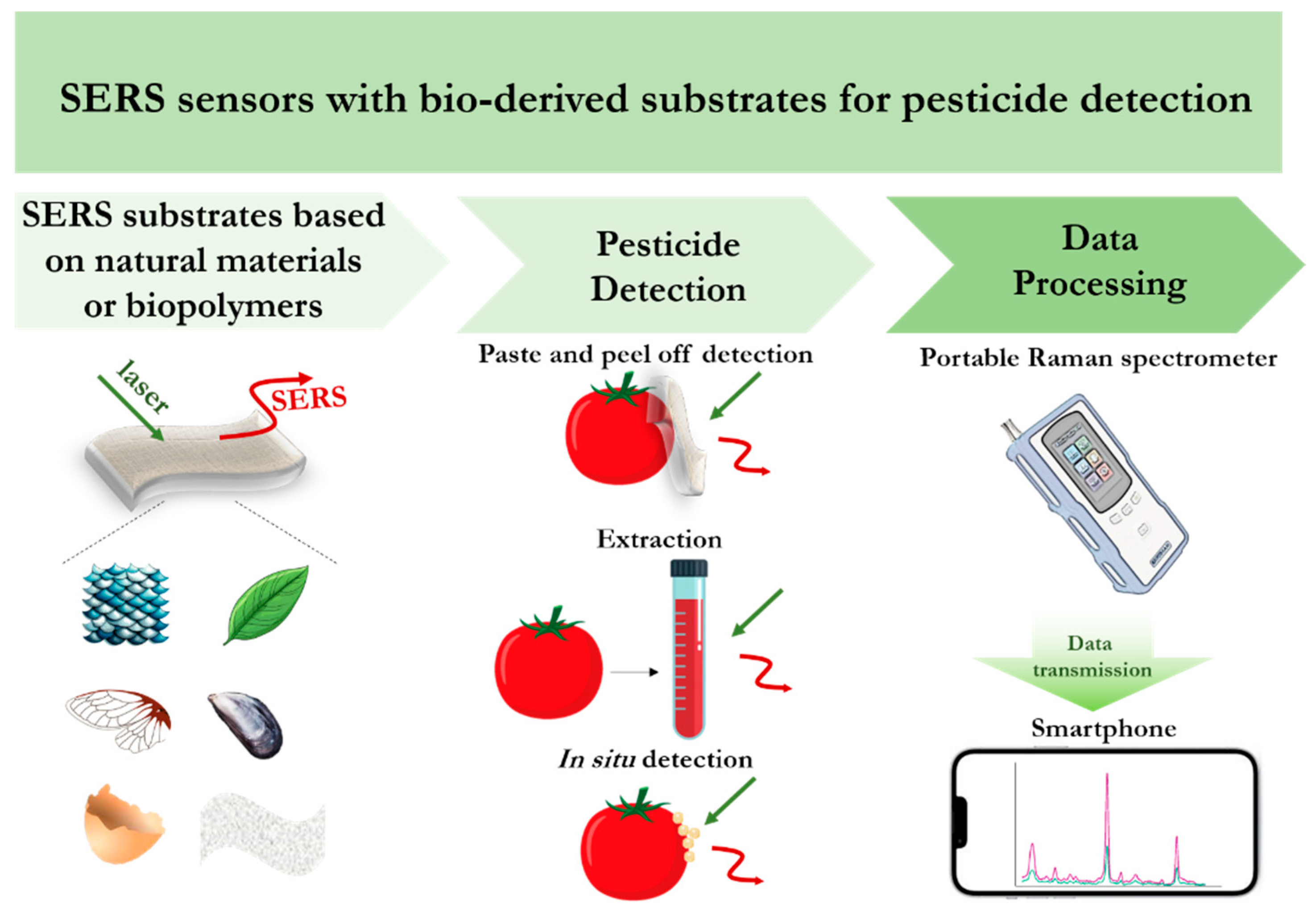 Biosensors 14 00573 g005