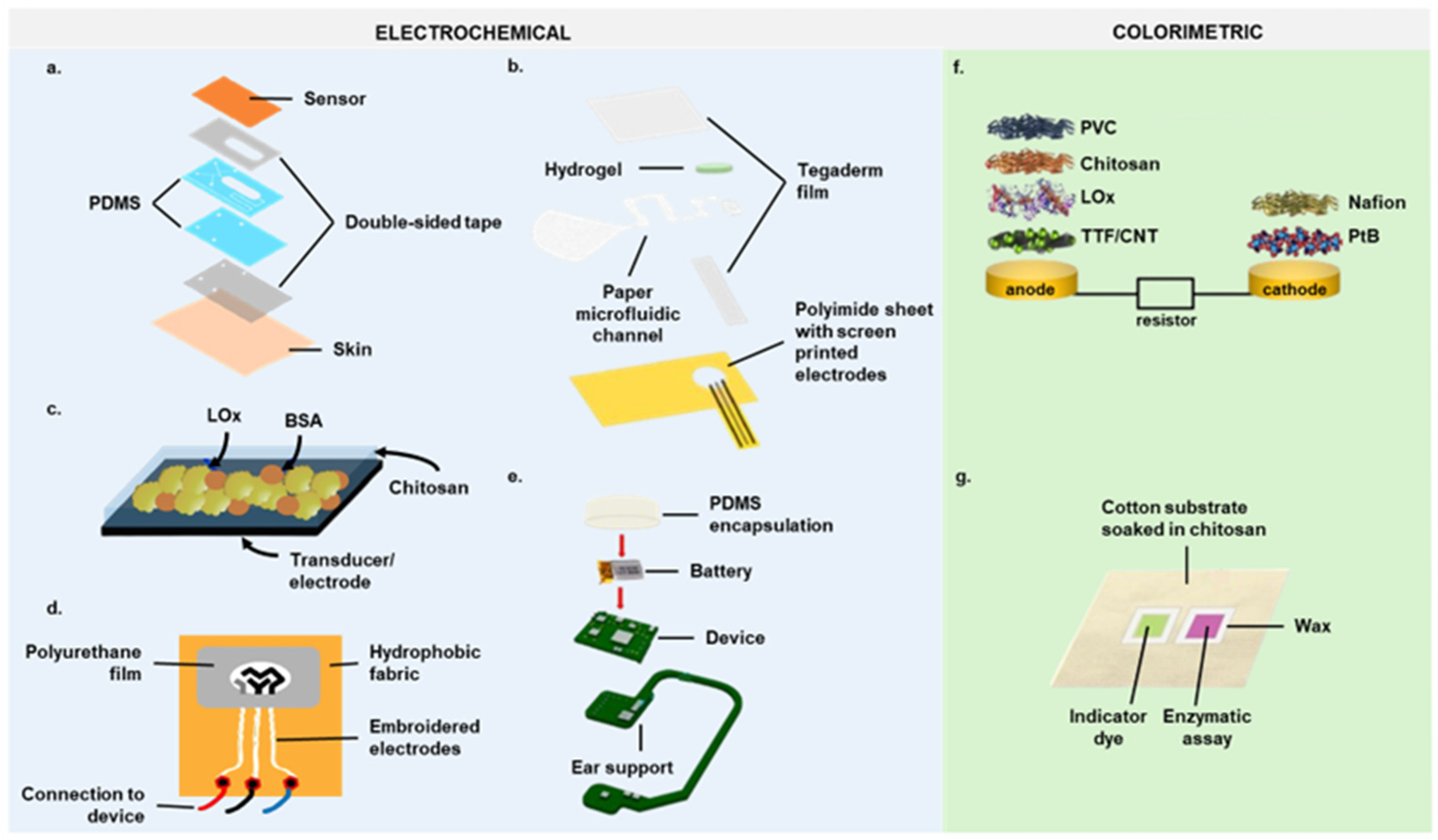 Biosensors 14 00574 g003 Biosensors 14 00574 g003