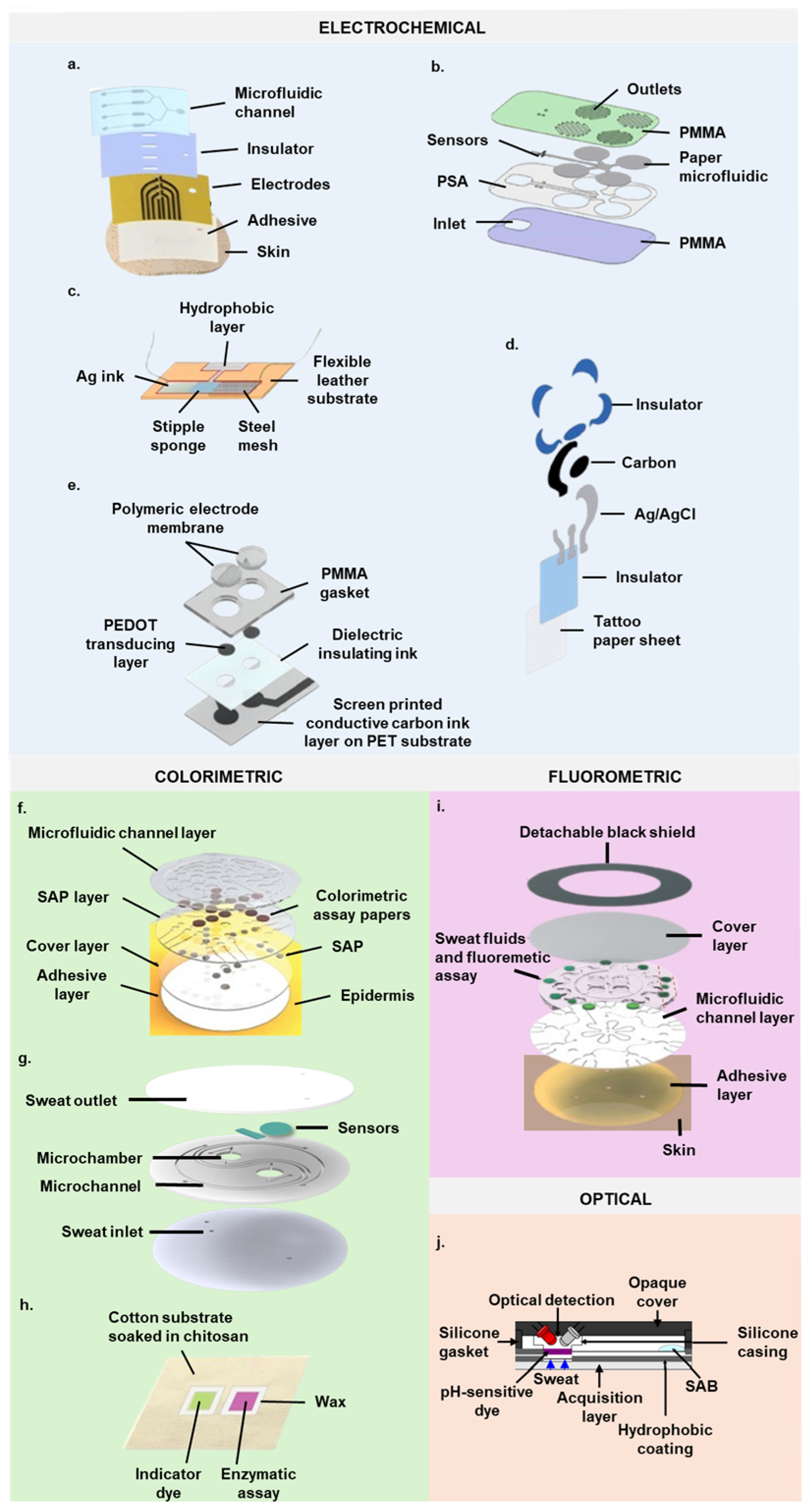 Biosensors 14 00574 g004 Biosensors 14 00574 g004