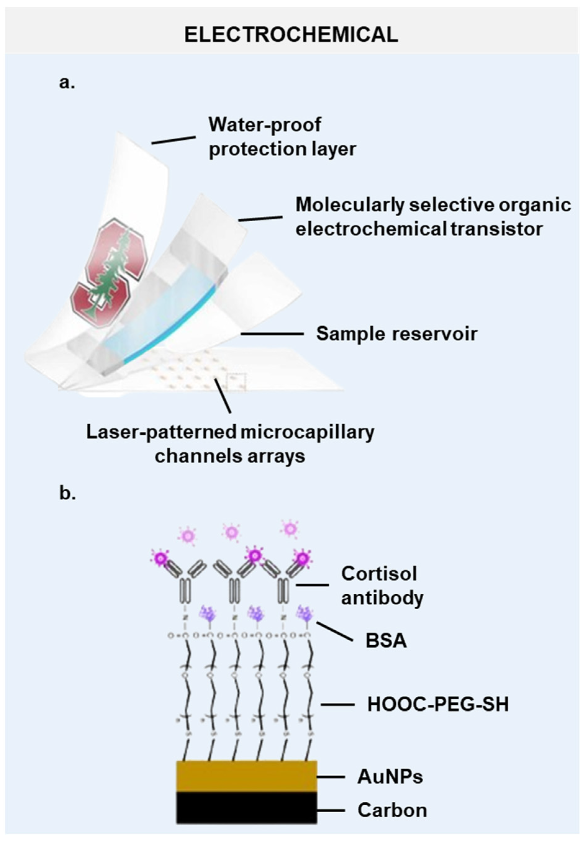 Biosensors 14 00574 g005 Biosensors 14 00574 g005