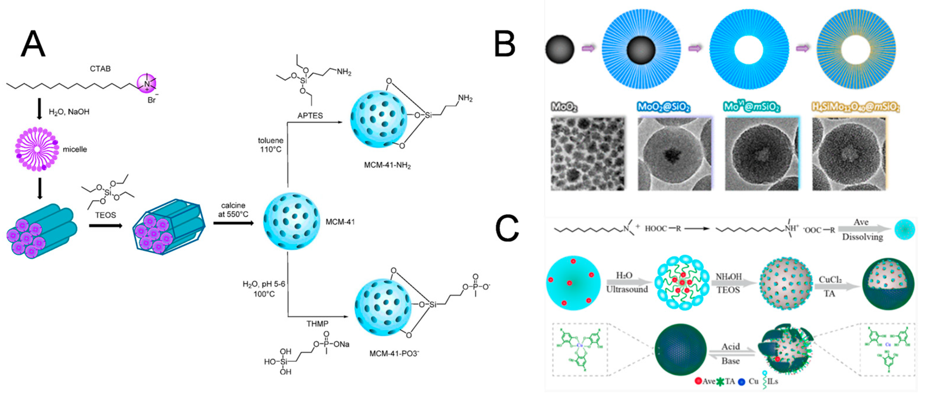 Biosensors 14 00575 g001