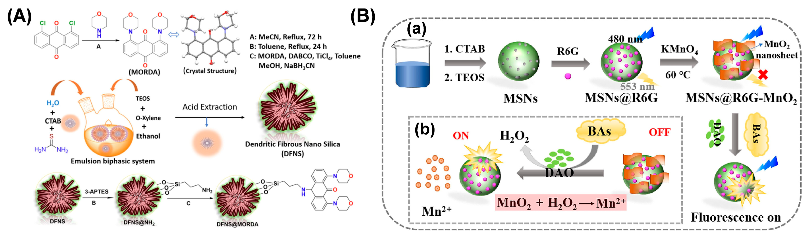 Biosensors 14 00575 g003
