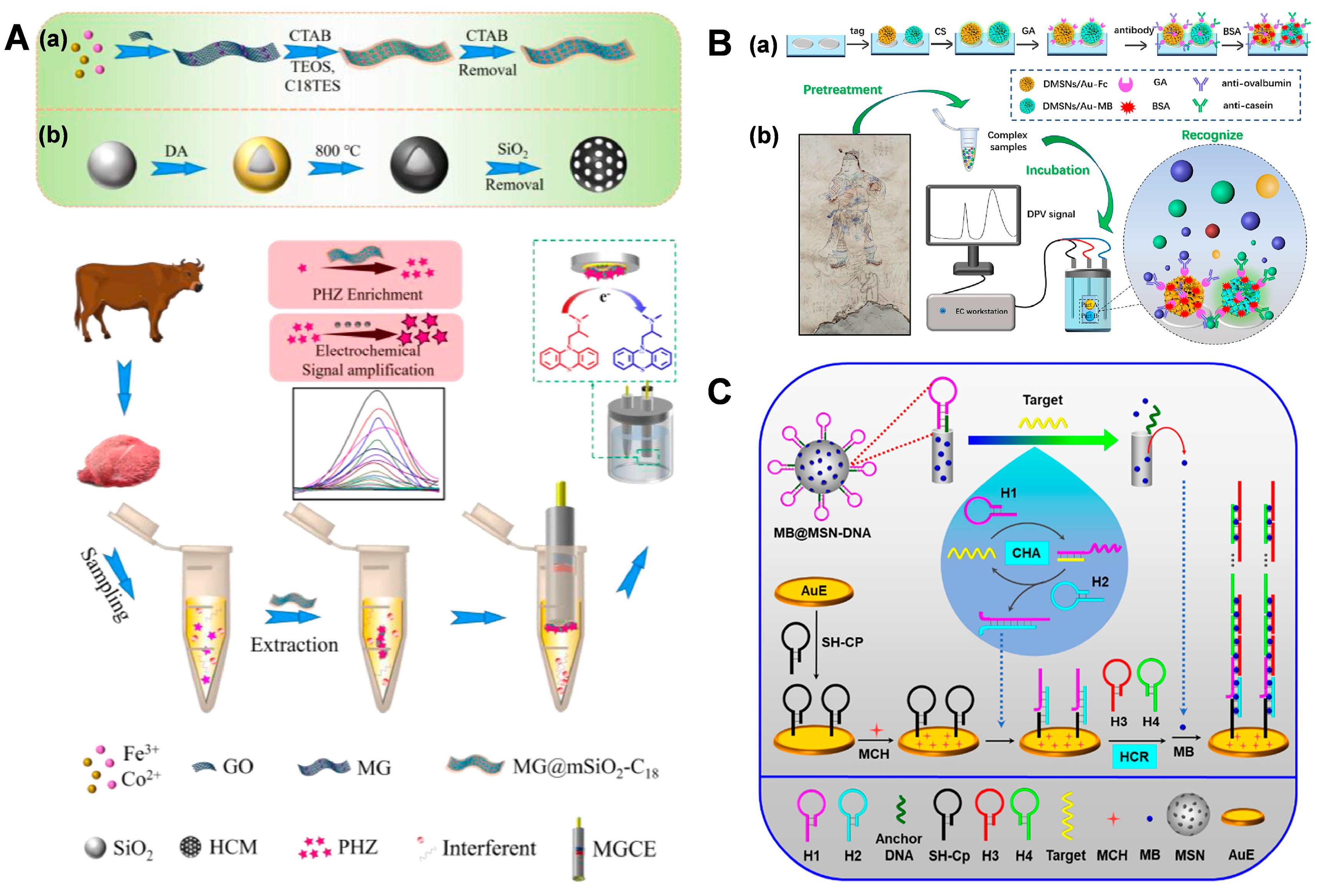 Biosensors 14 00575 g004