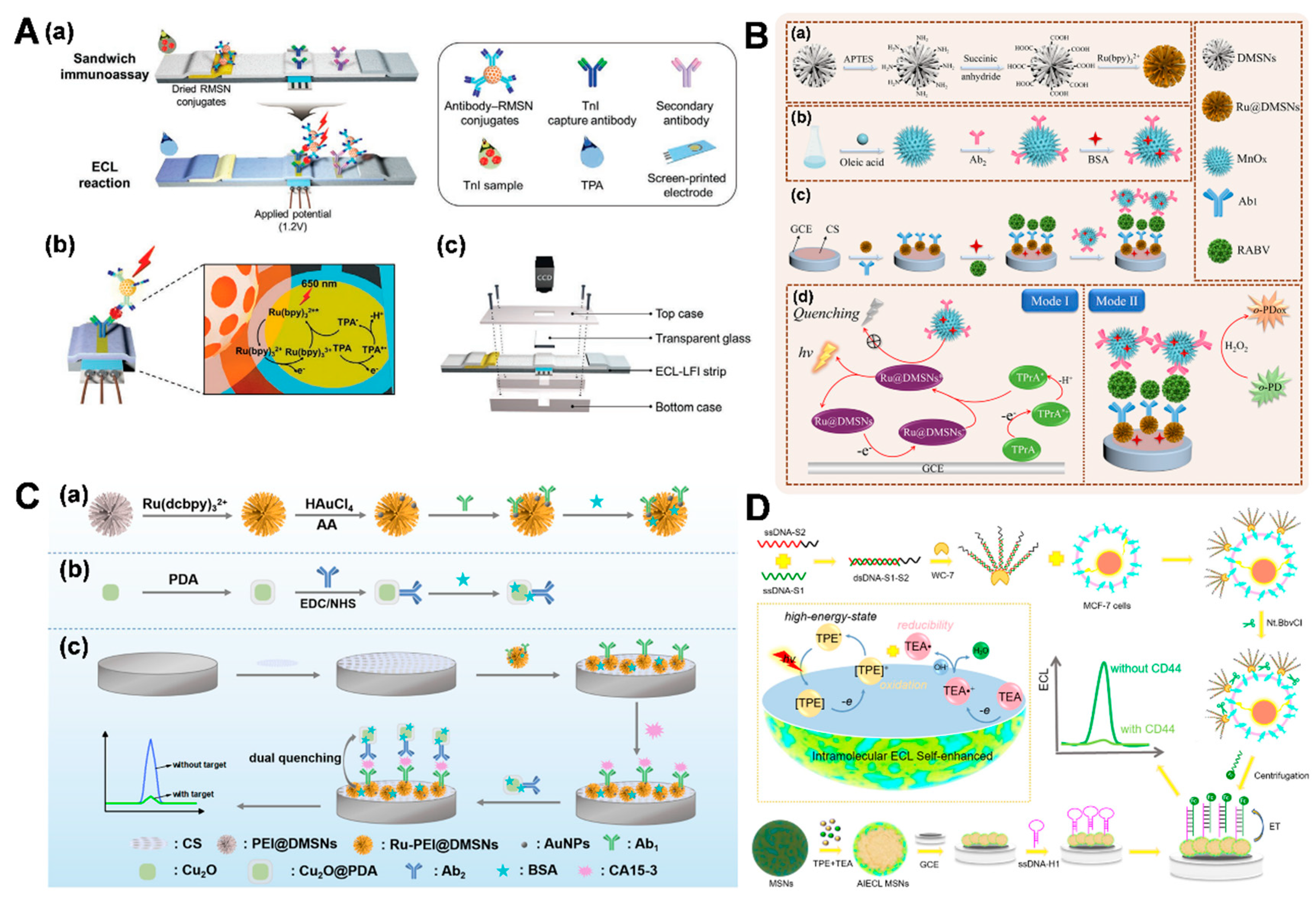 Biosensors 14 00575 g005