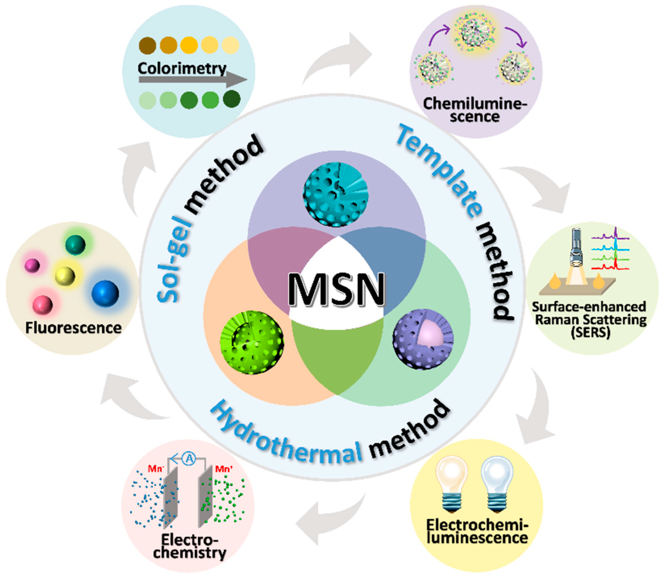 Biosensors 14 00575 sch001