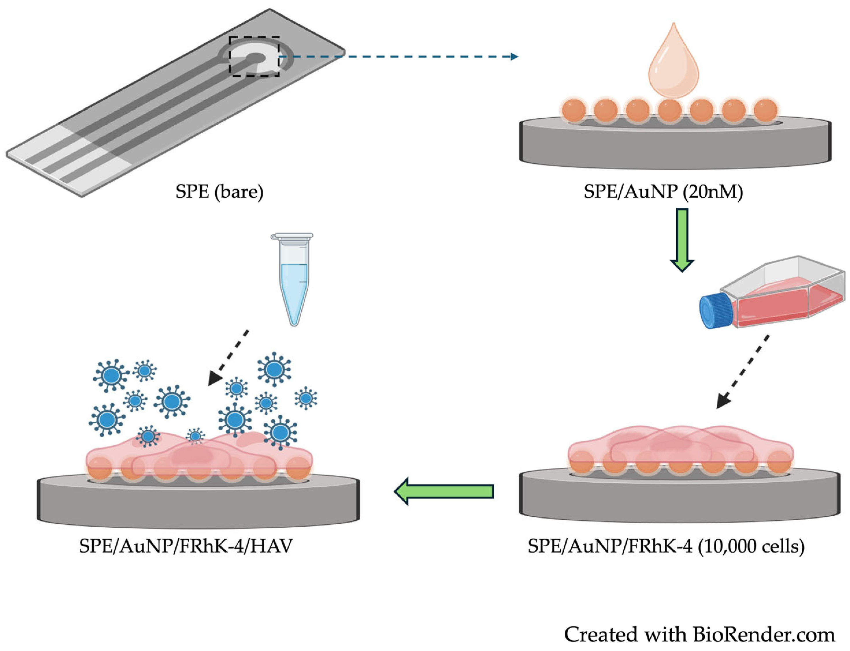 Biosensors 14 00576 g001