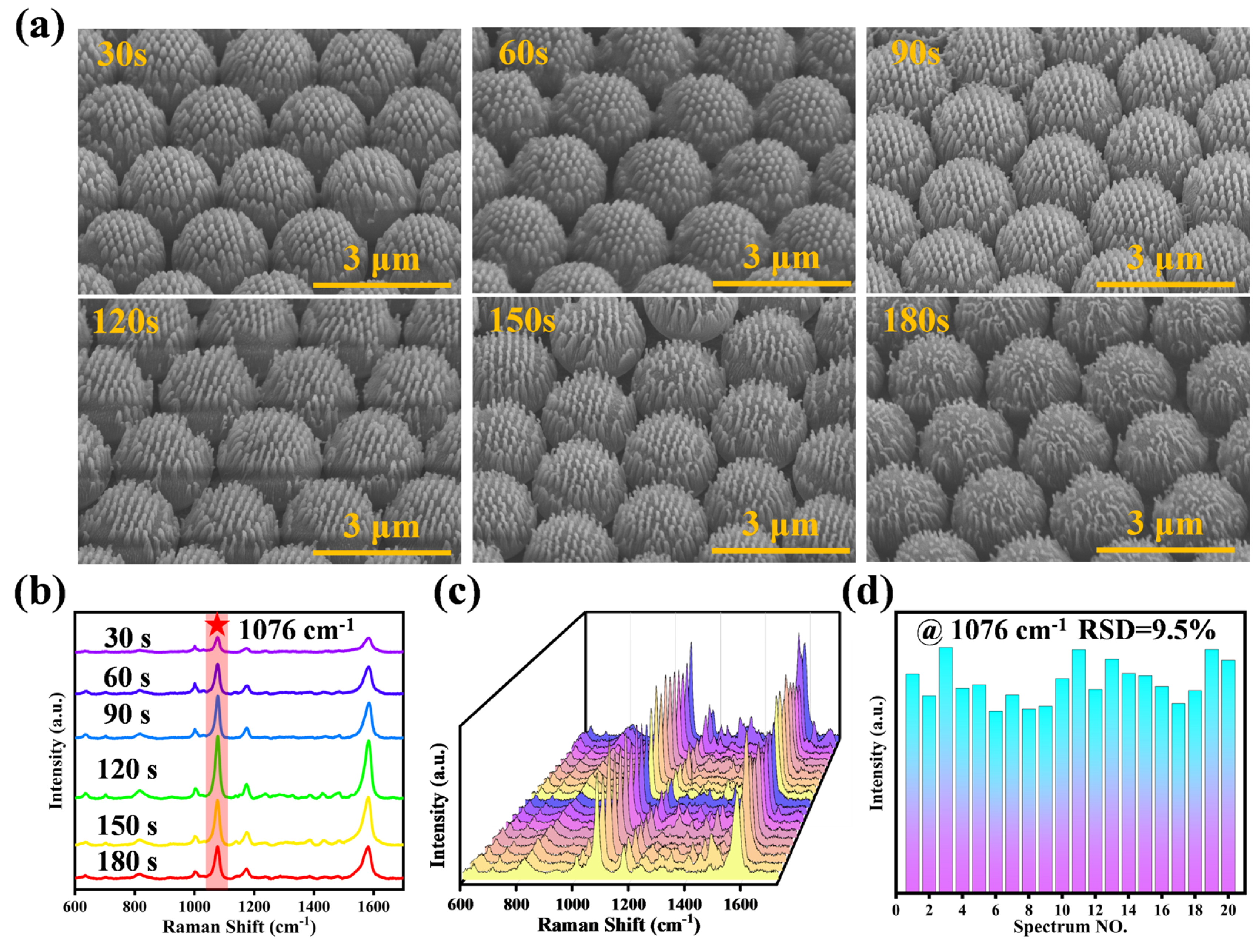 Biosensors 14 00579 g003