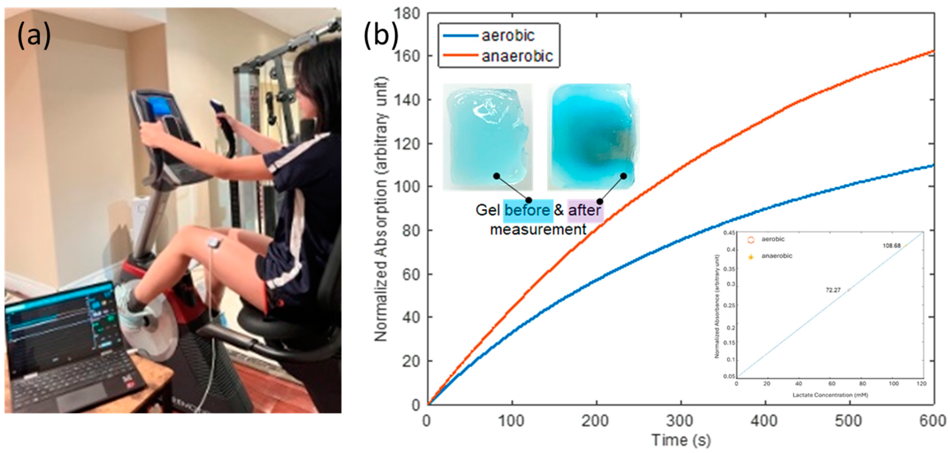 Biosensors 14 00584 g005